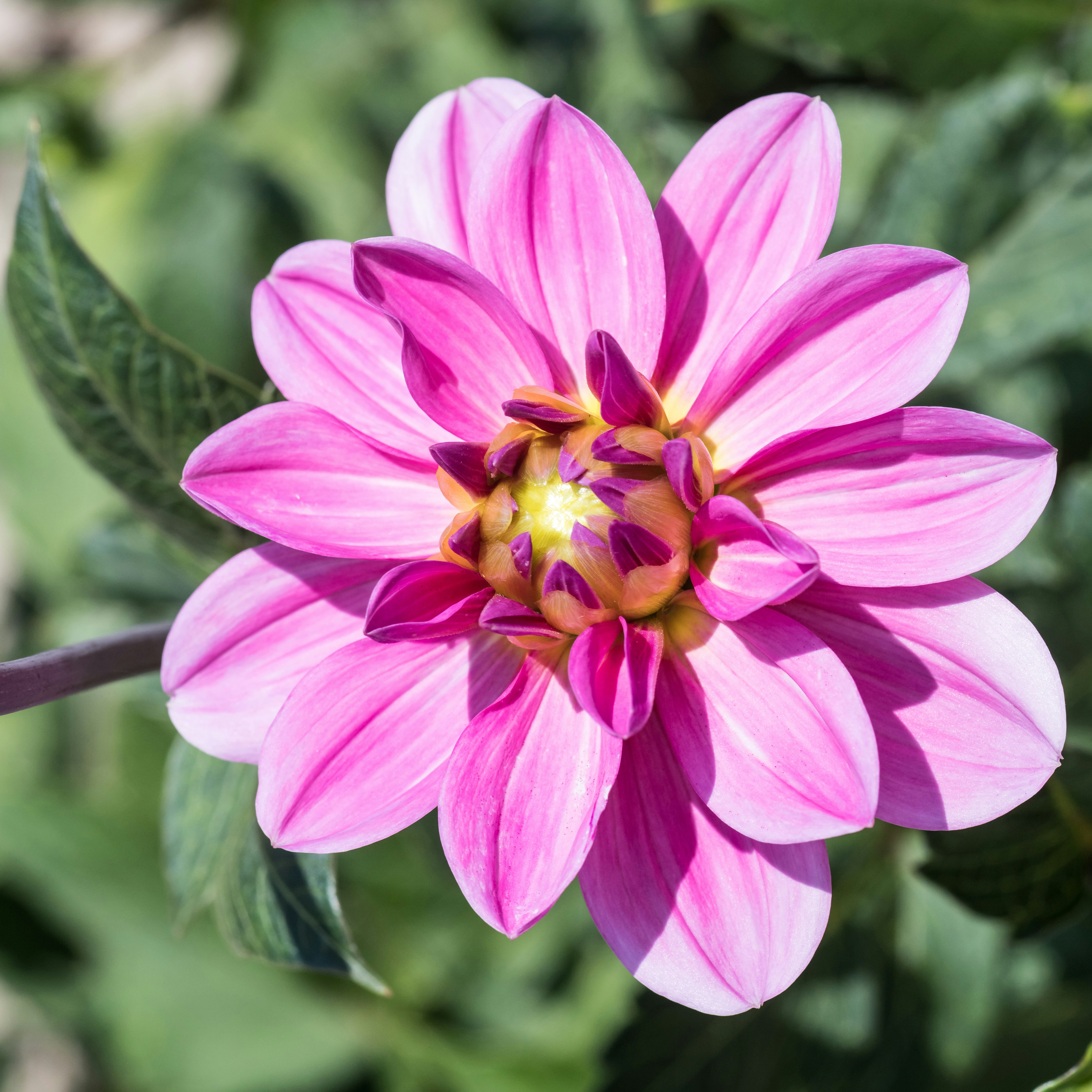 Photo by hamburgmeinefreundin