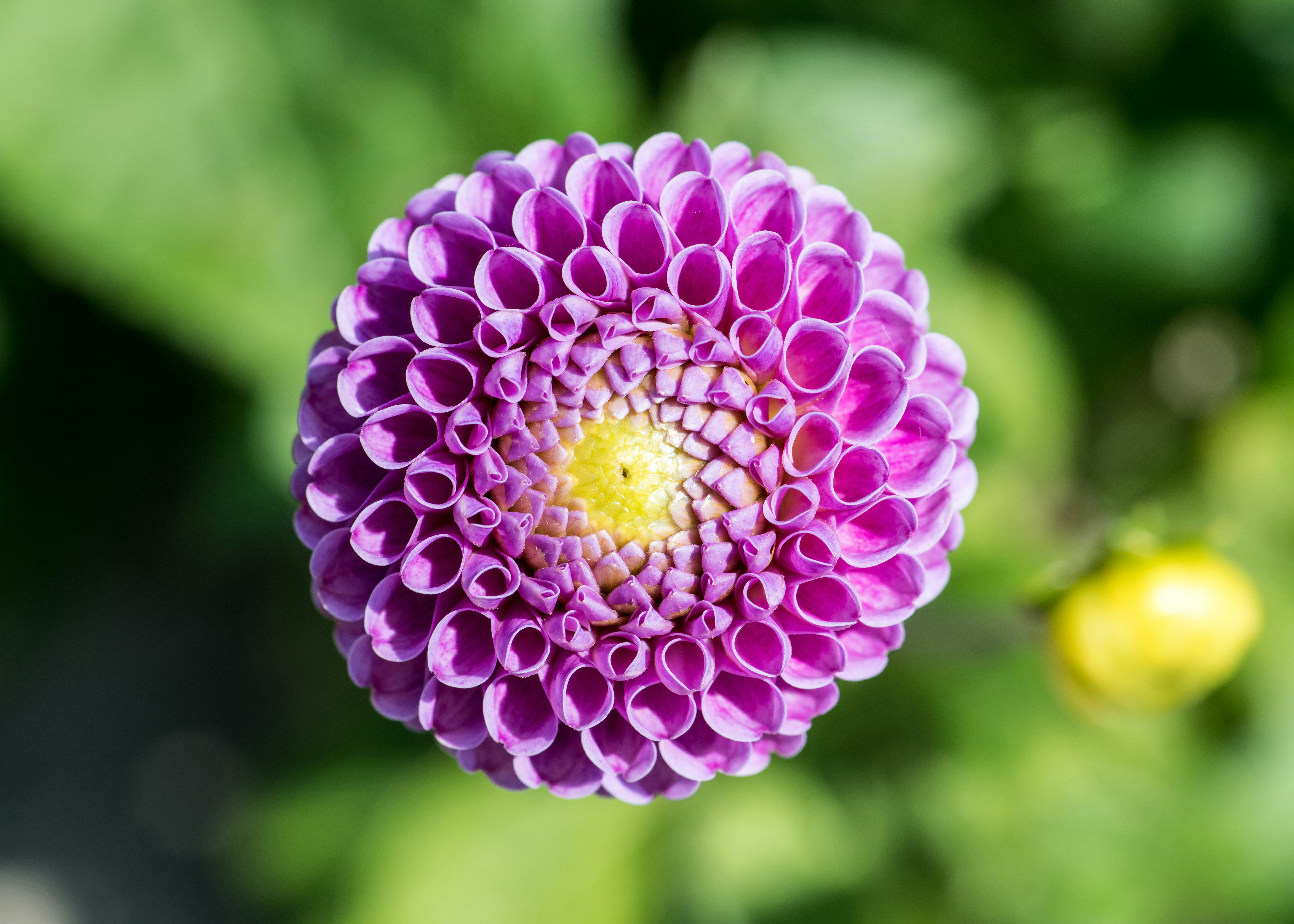 Photo by hamburgmeinefreundin