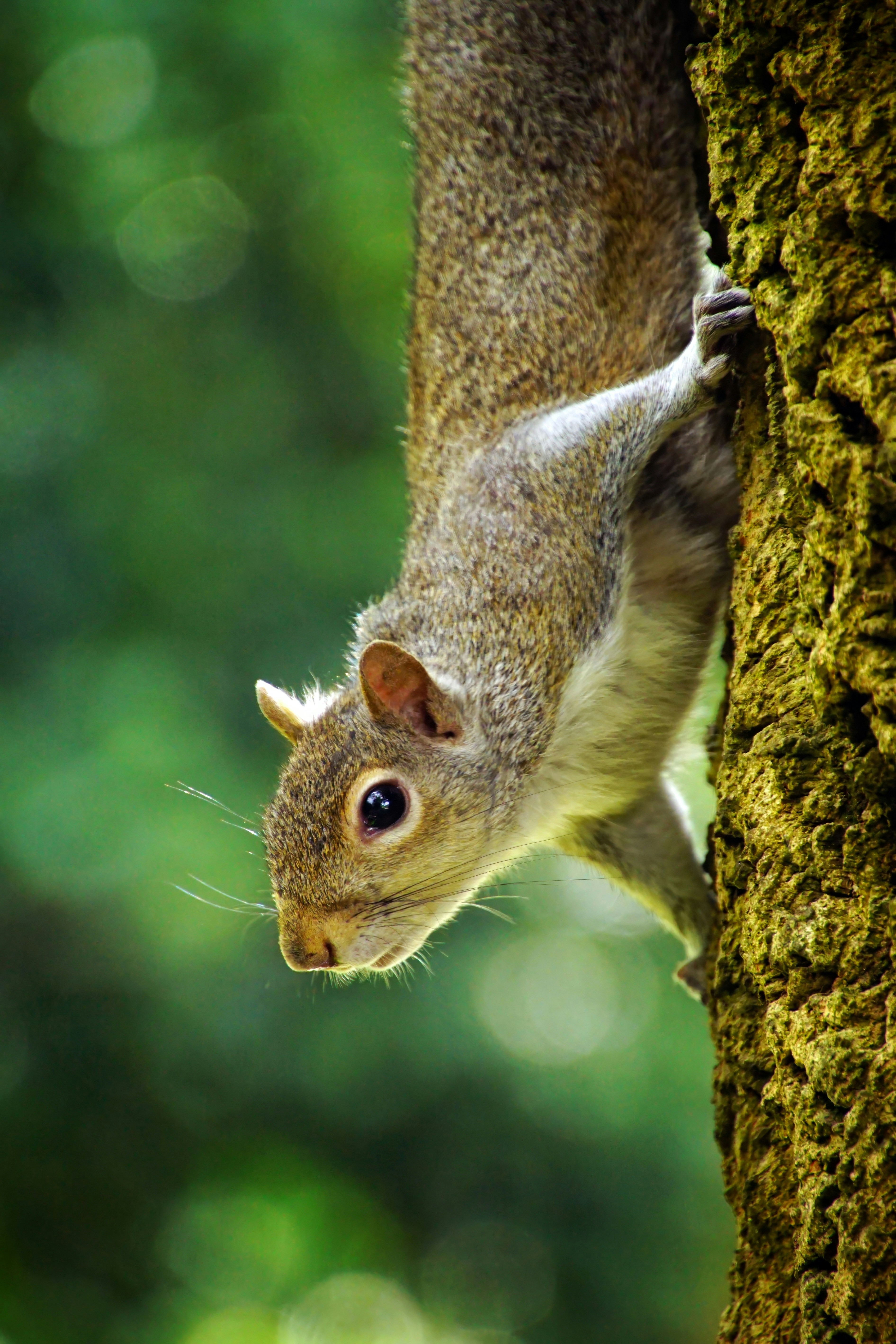 Photo by marttisalmi