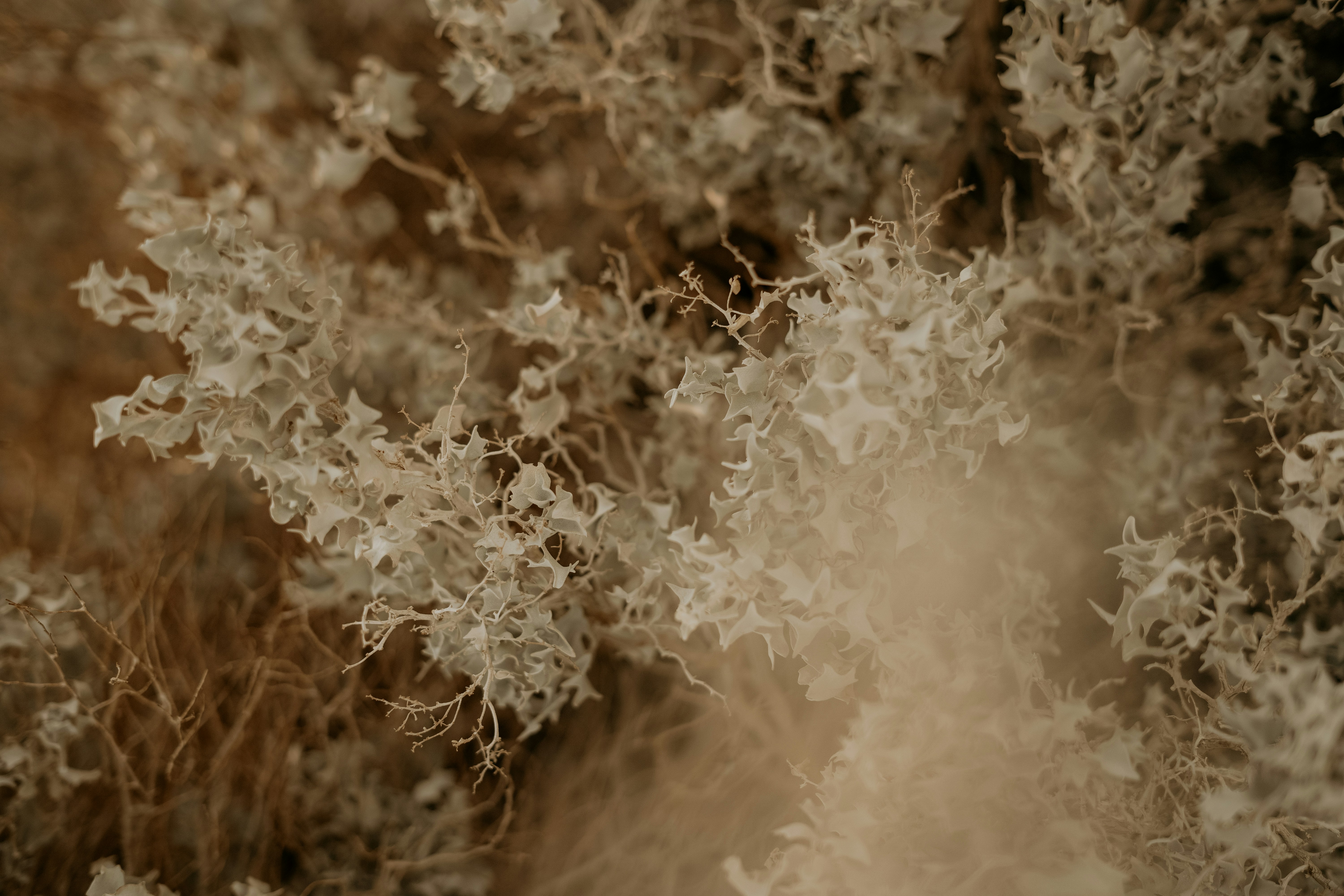 Photo by dubai_love_story