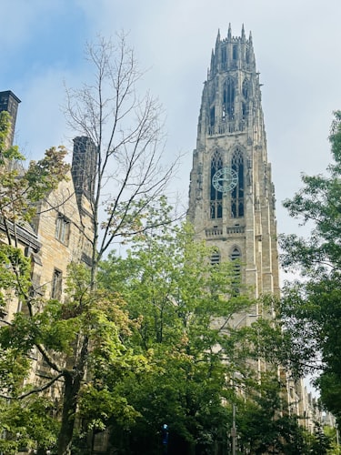 Business & Entrepreneurship at Yale