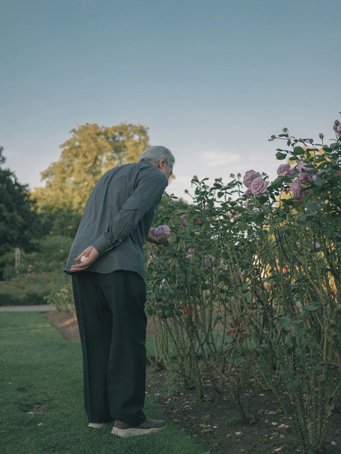 An older man outdoors in a garden, relaxed and independent