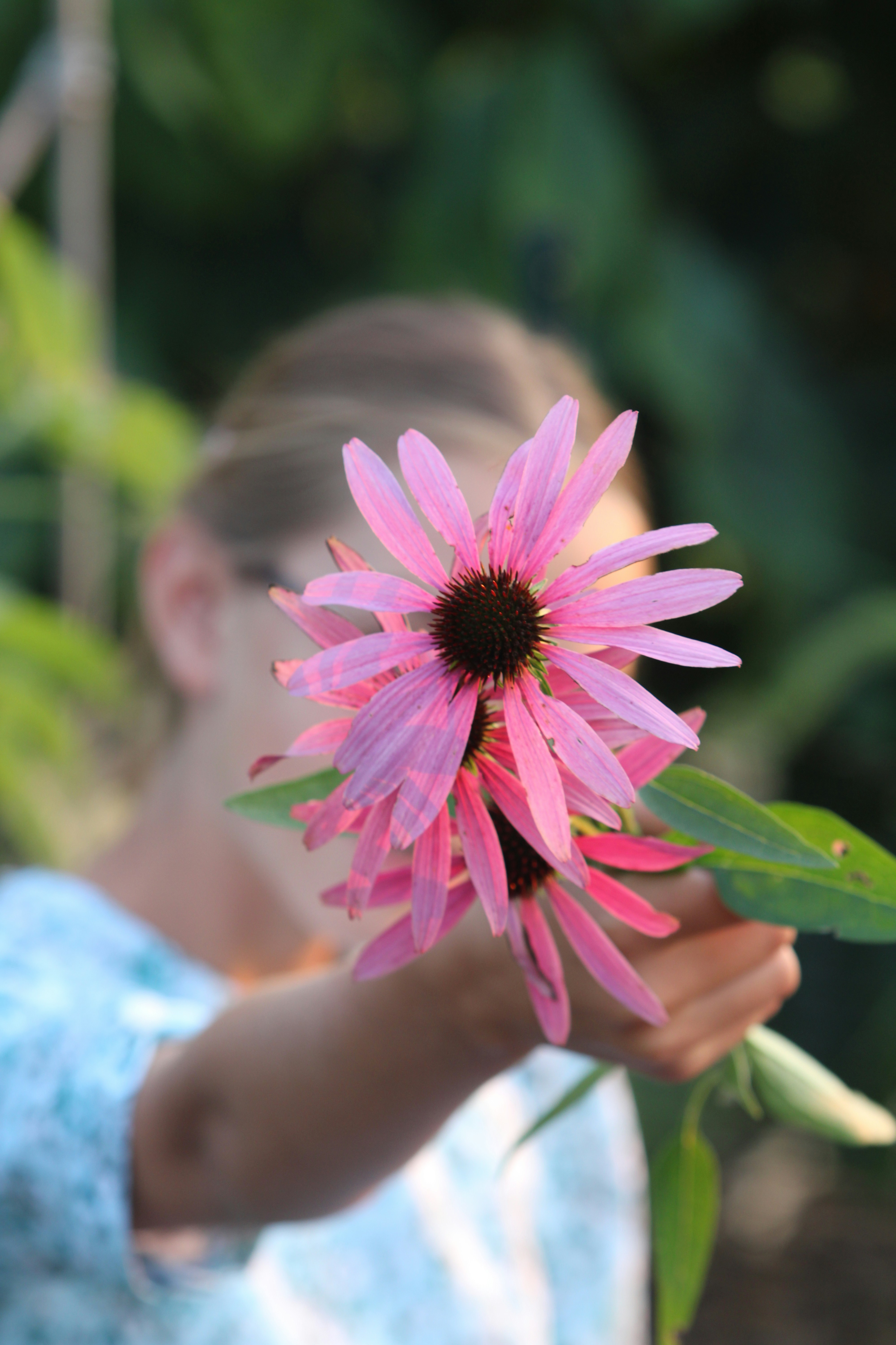 Photo by marie_martin1