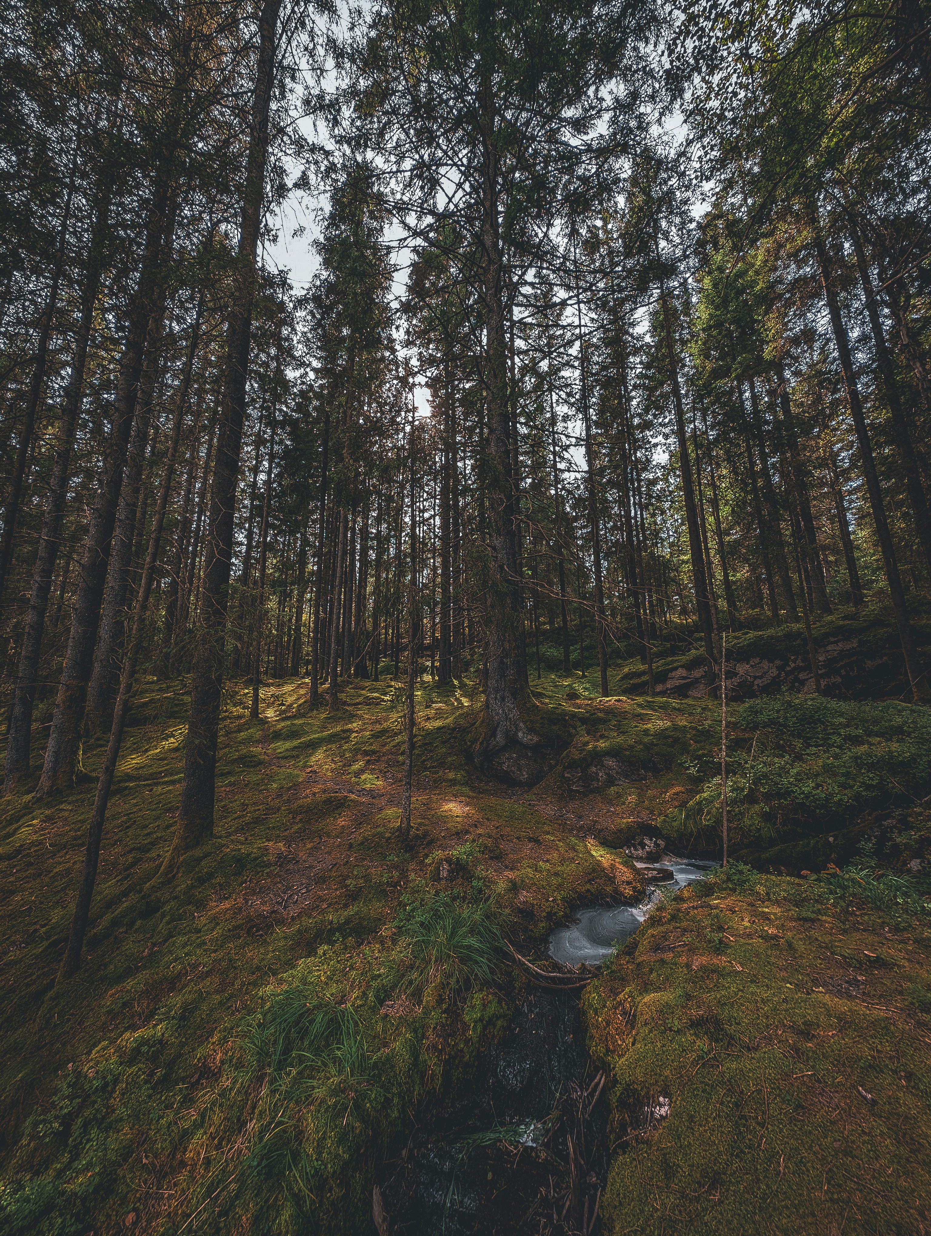 Photo by jakubsirius