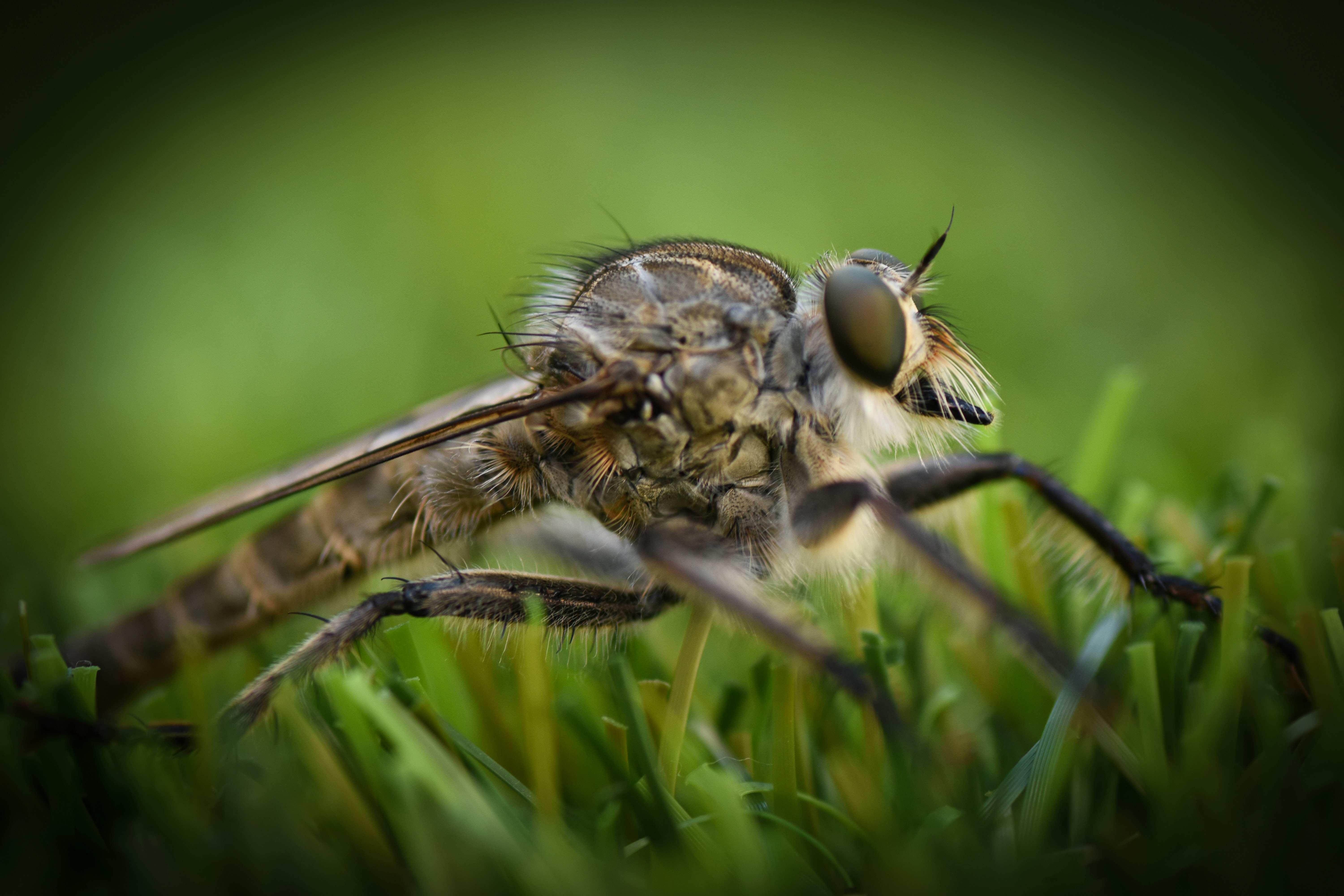 Photo by blackieshoot