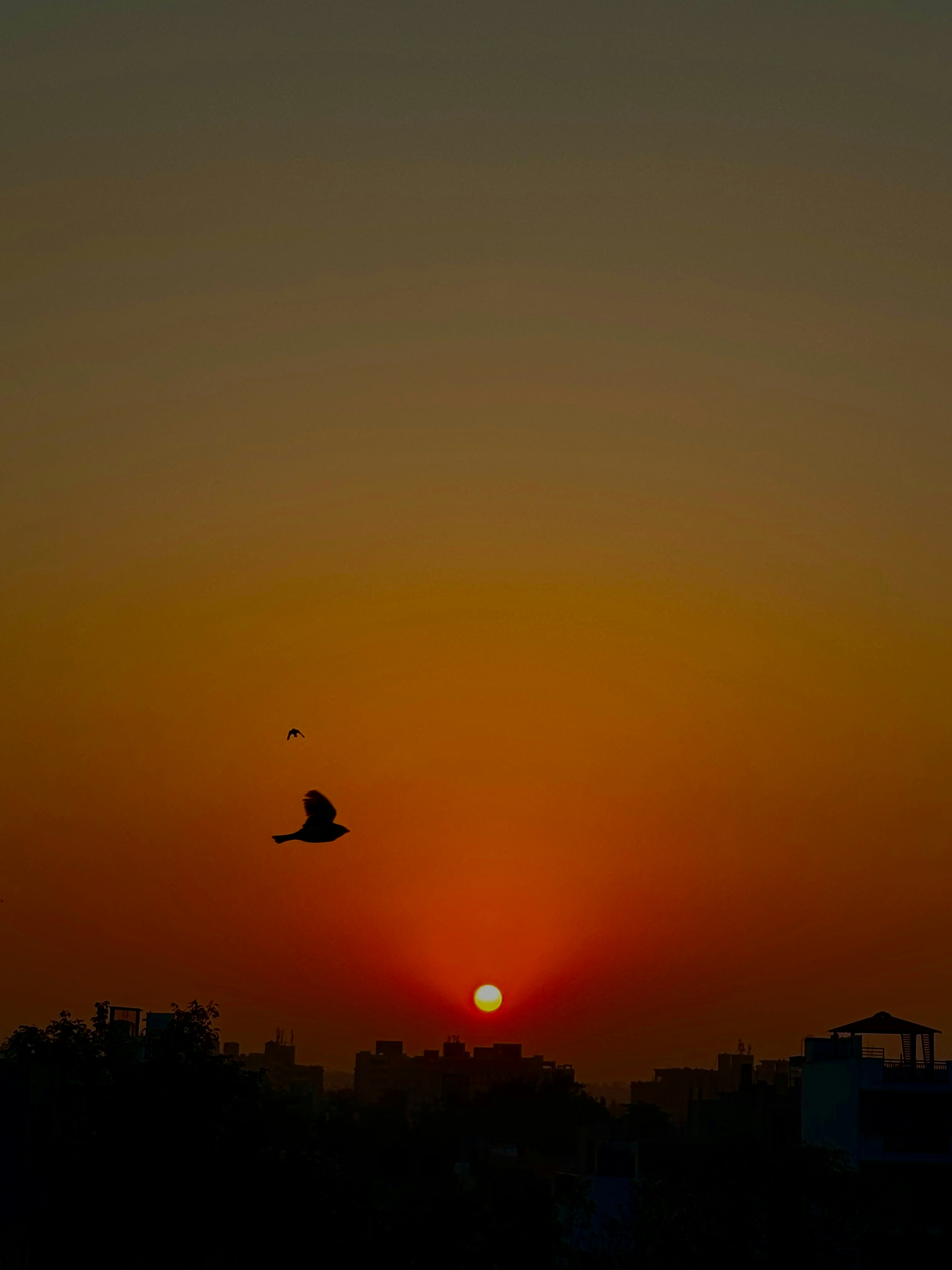 Photo by galaxy2308