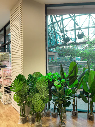 A room filled with lots of green plants next to a window
