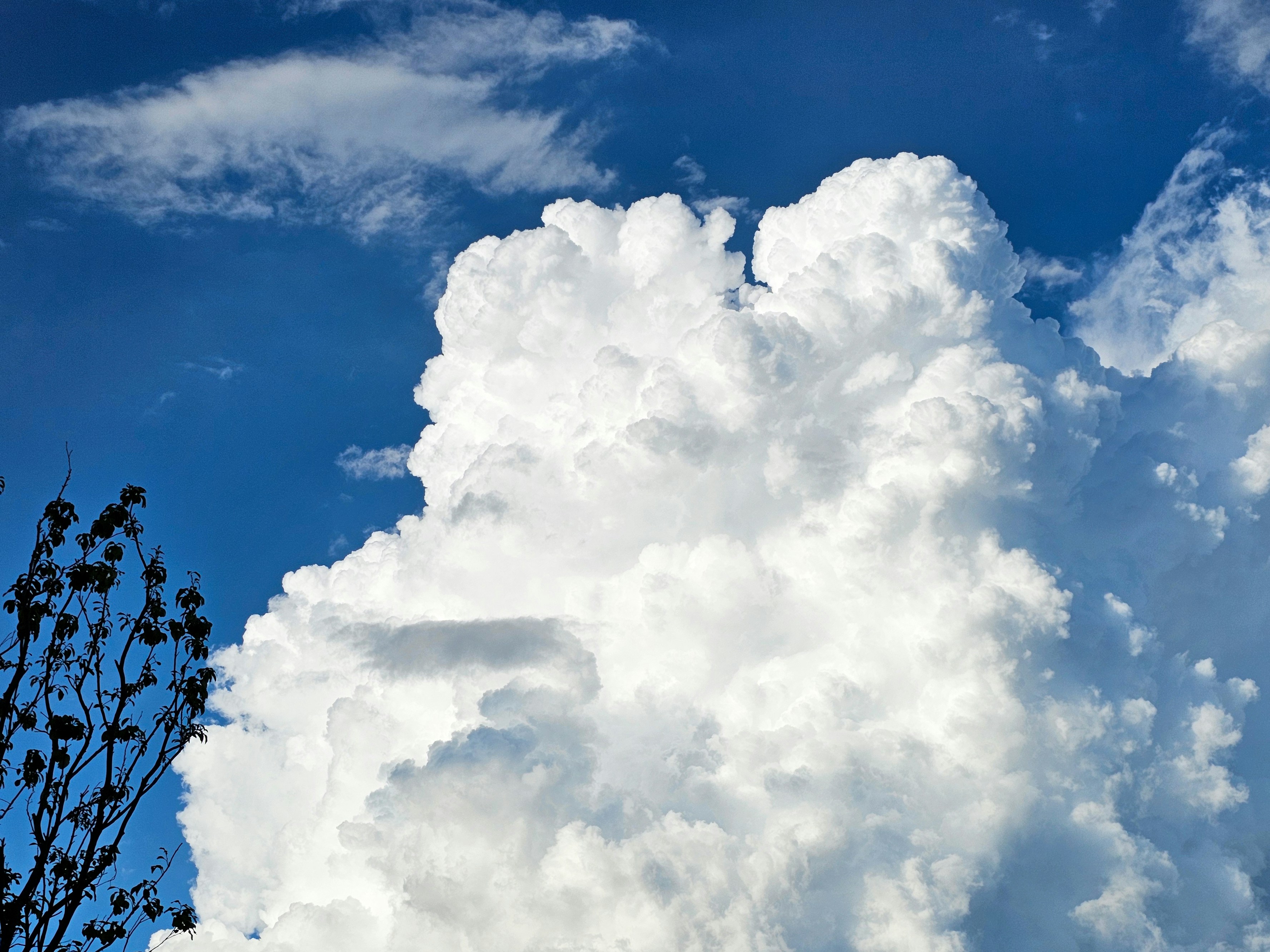 9 Cloud Migration Guides for Reducing Overhead