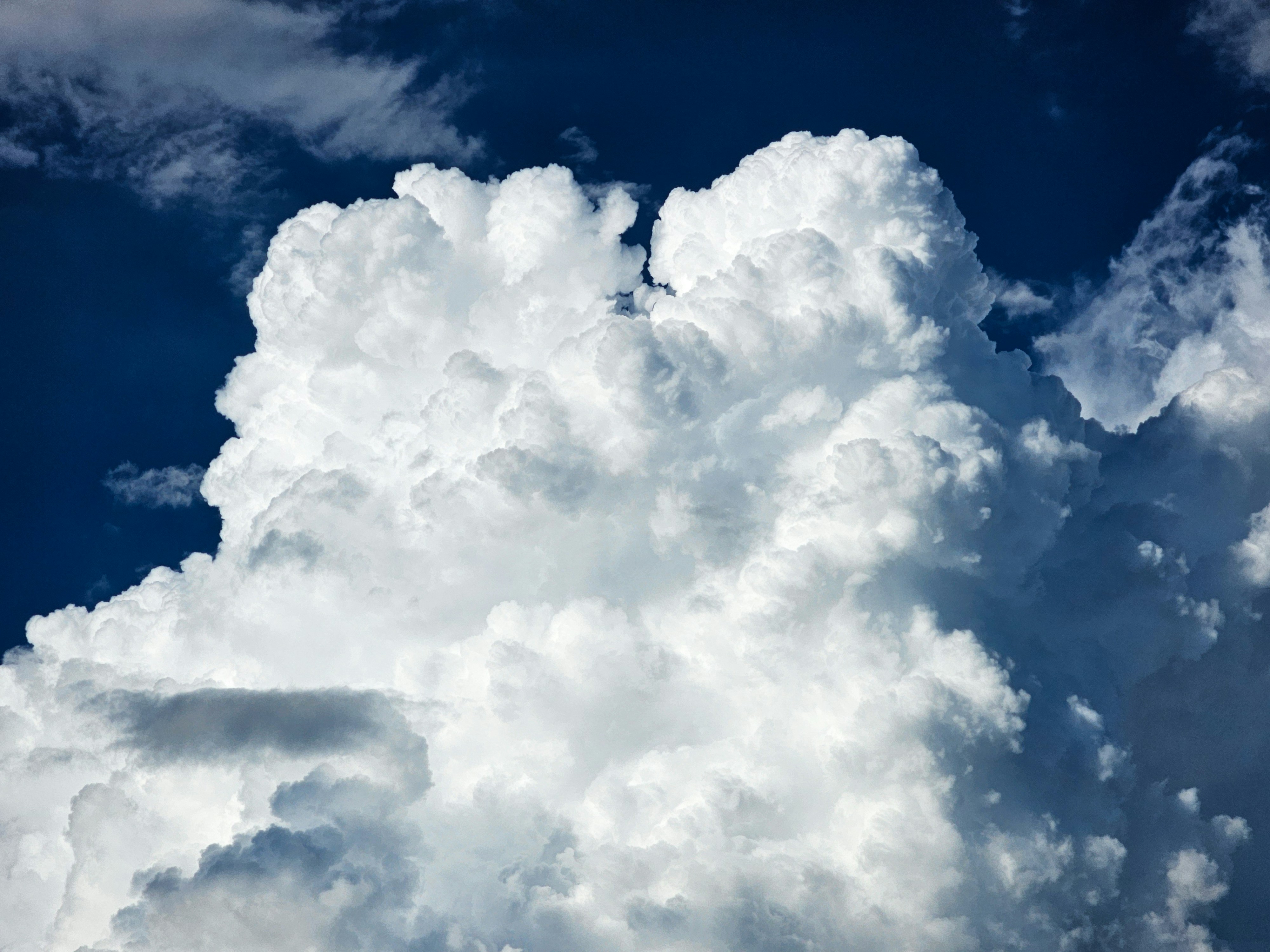 Photo by hypocriteeeee