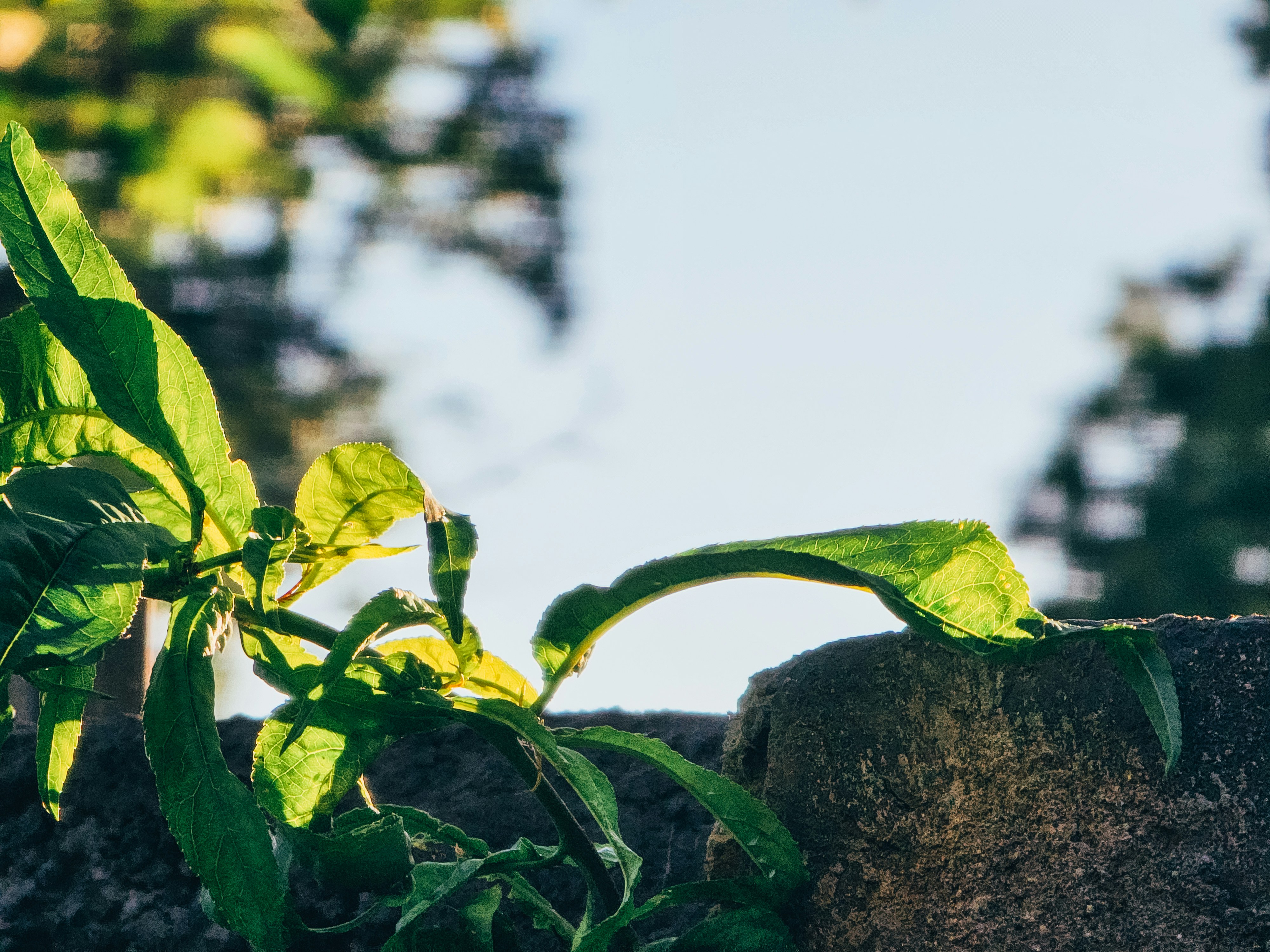 Photo by hypocriteeeee