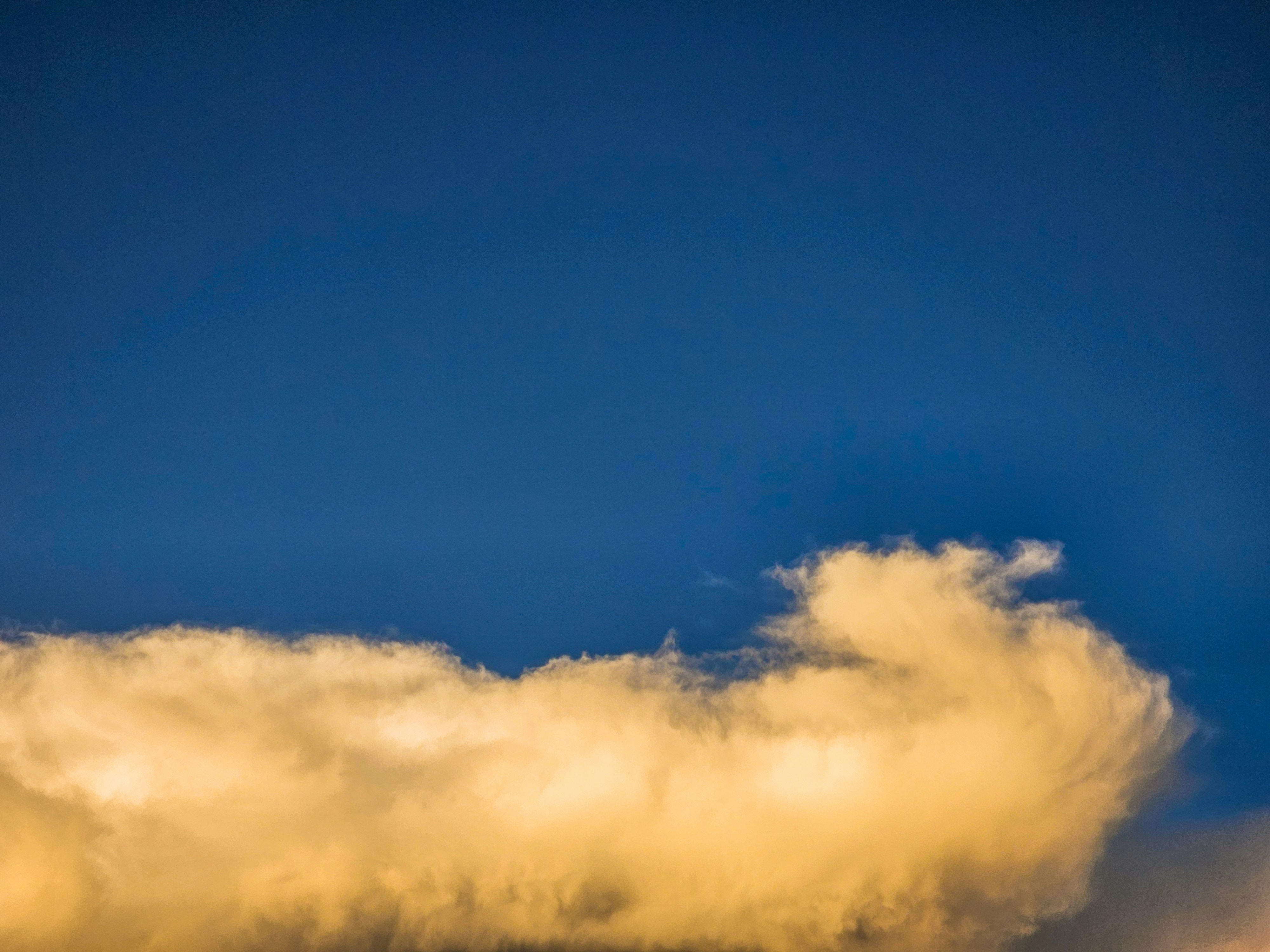 Photo by hypocriteeeee