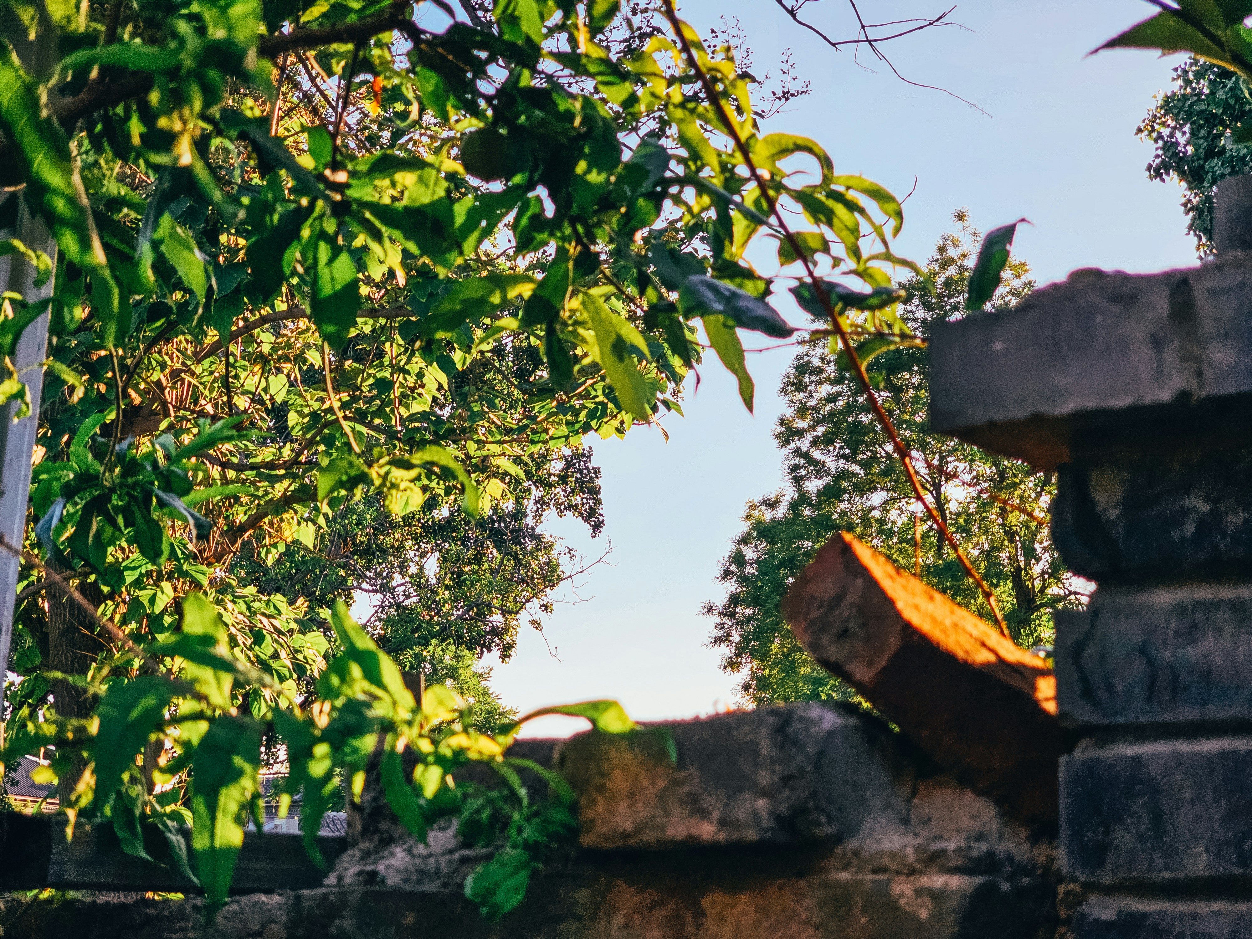 Photo by hypocriteeeee