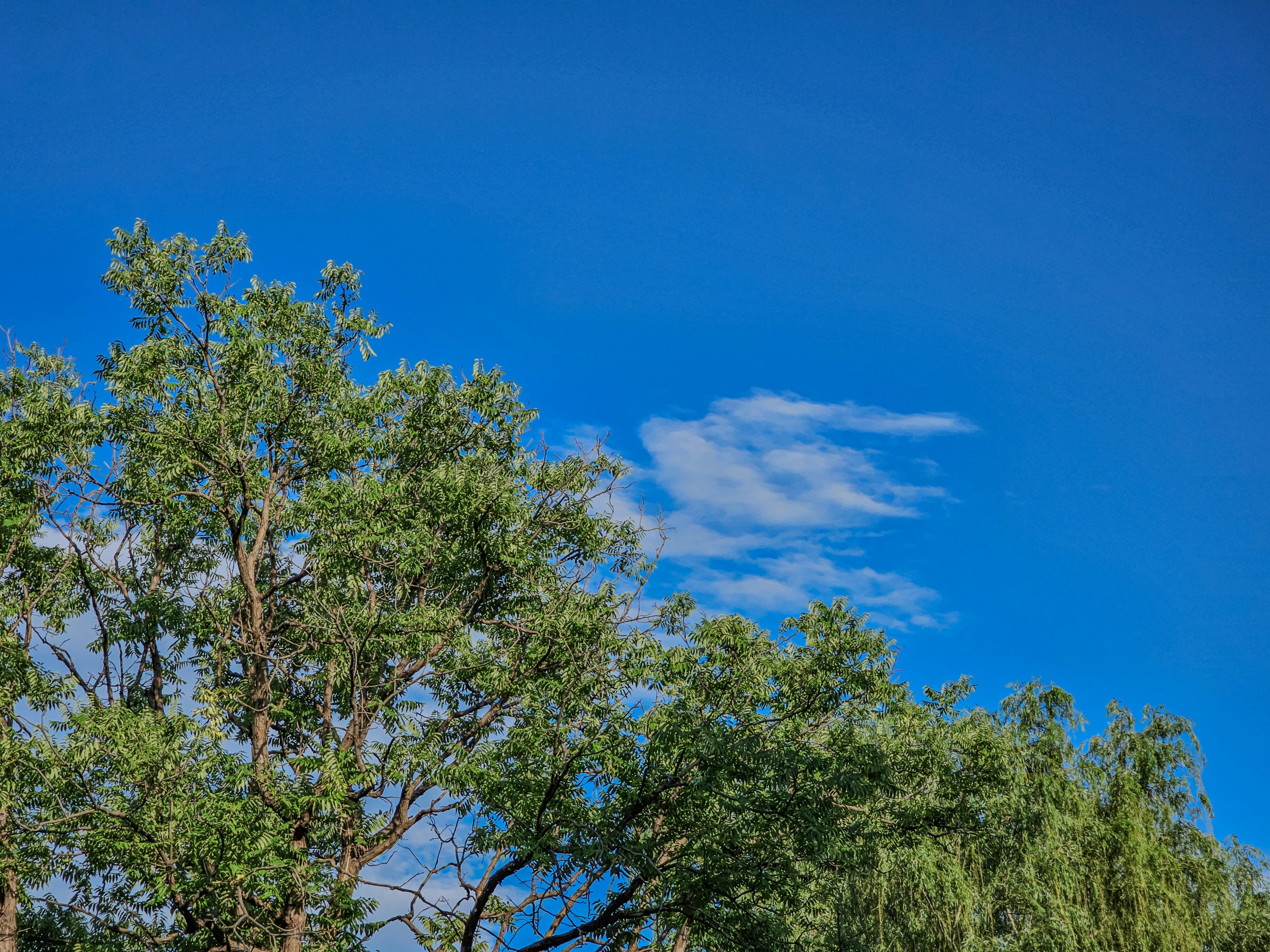 Photo by hypocriteeeee