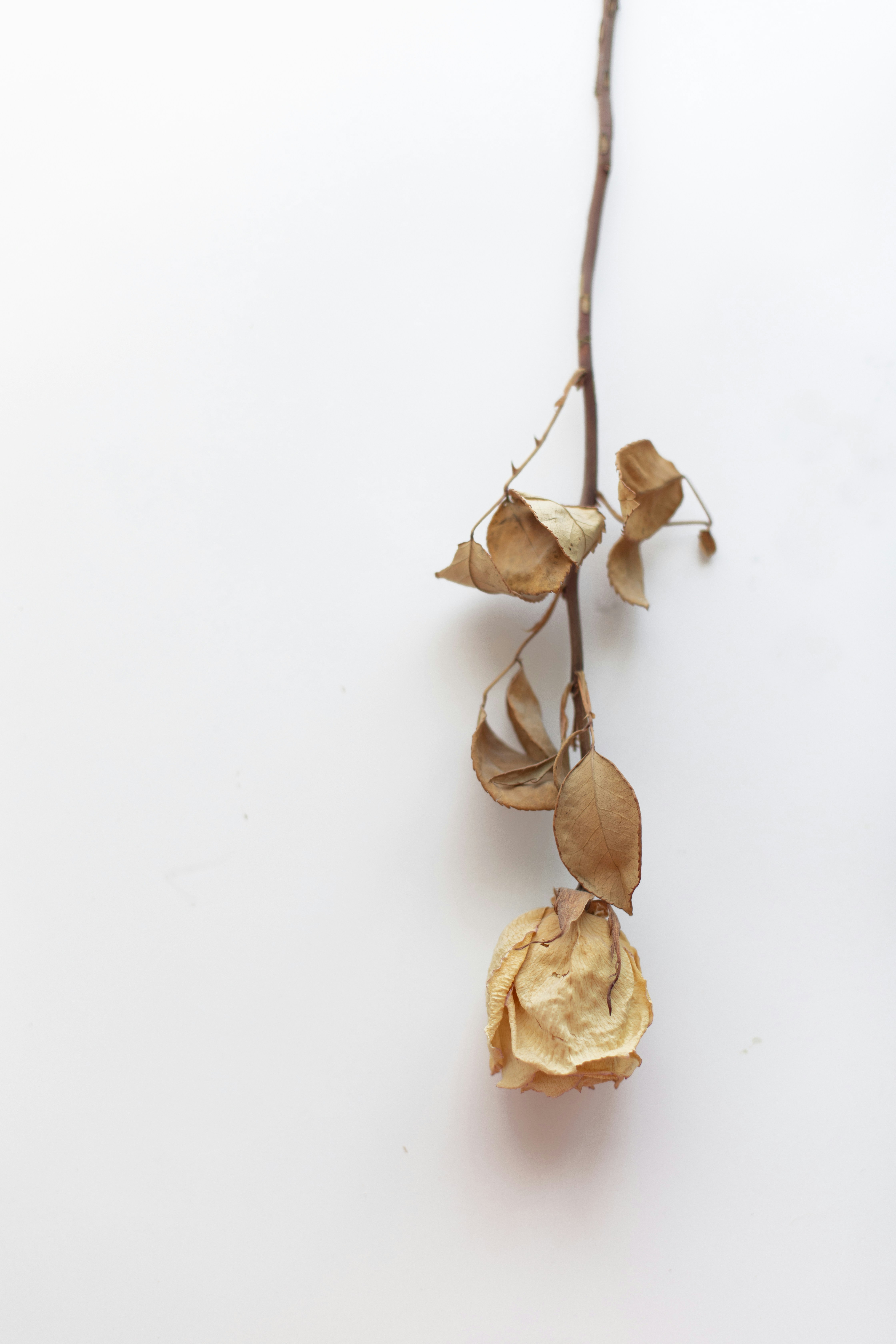 Photo by sixteenmilesout