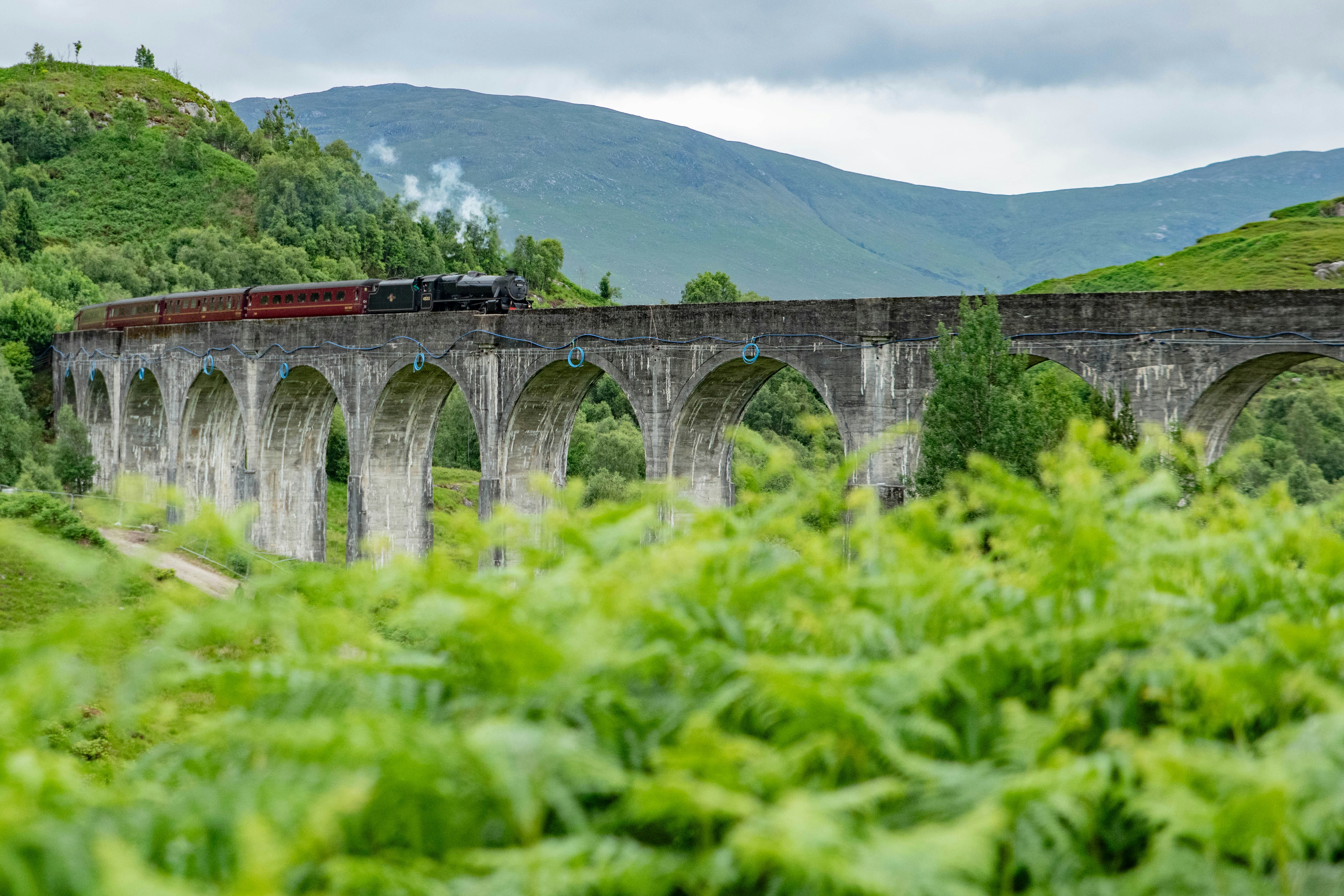 Photo by seanferiganphotography