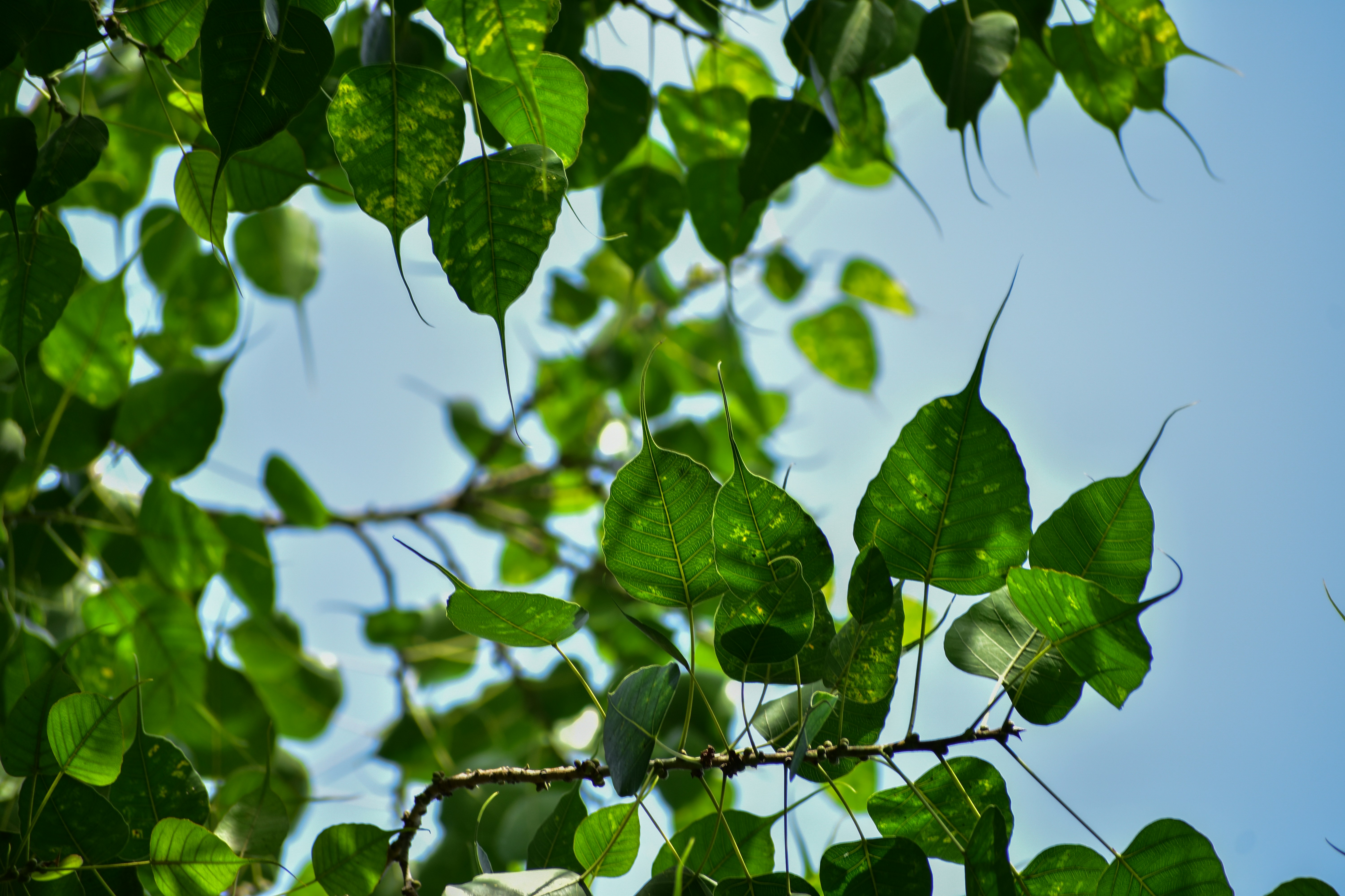 Photo by neelakshi_singh_