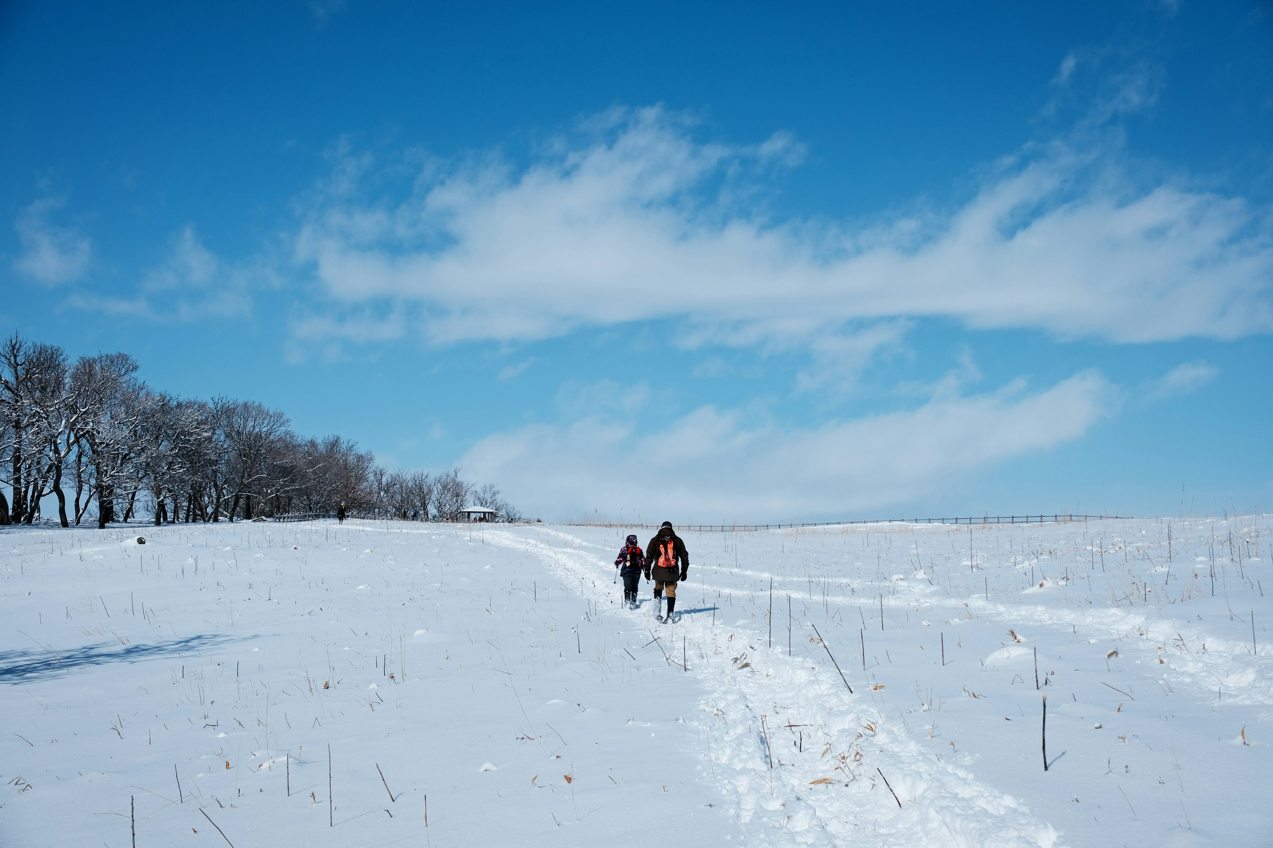 Traveler testimonial in snowy Hokkaido
