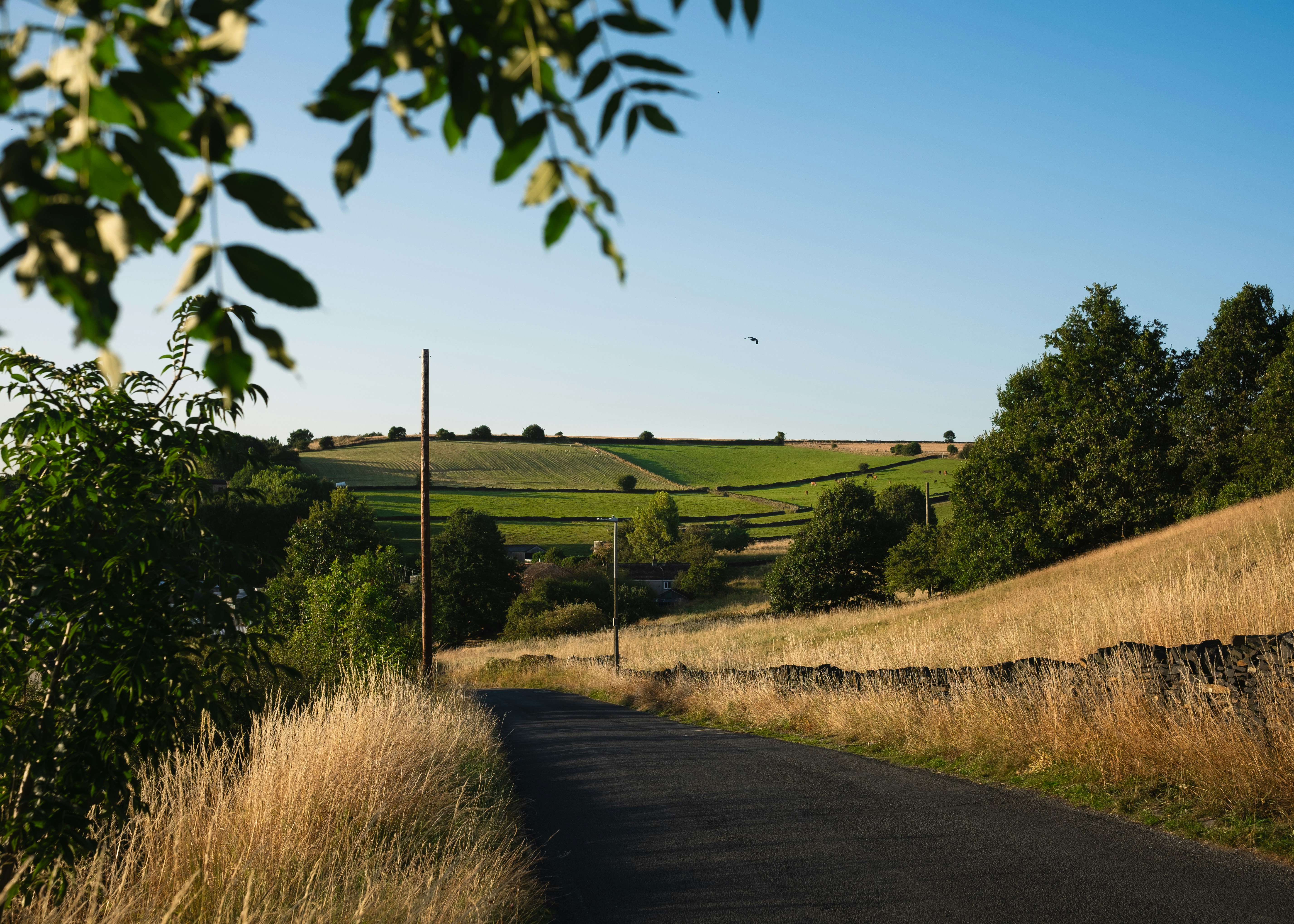 Photo by rory_tucker_photography