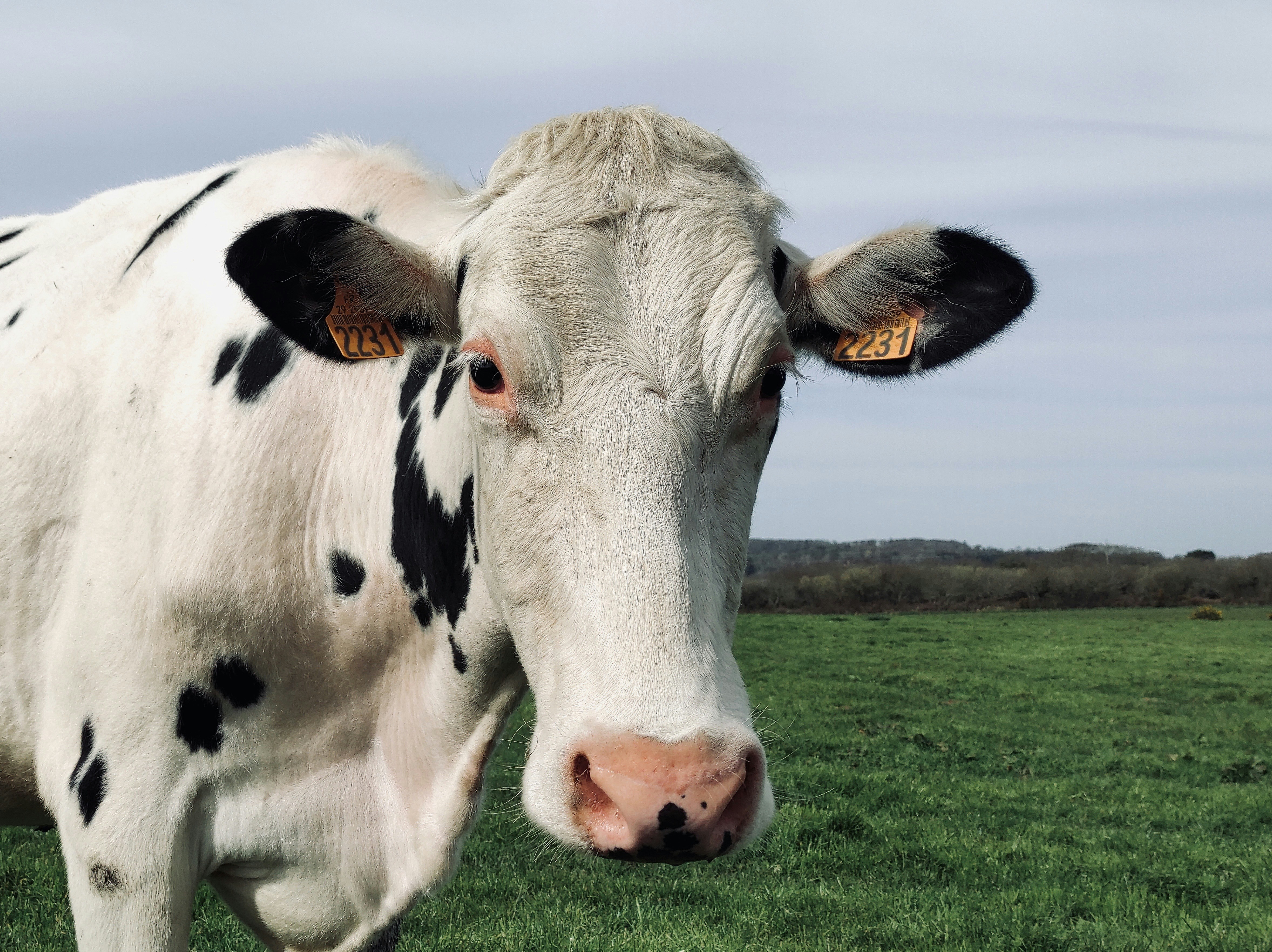 Photo by benjaminsimier