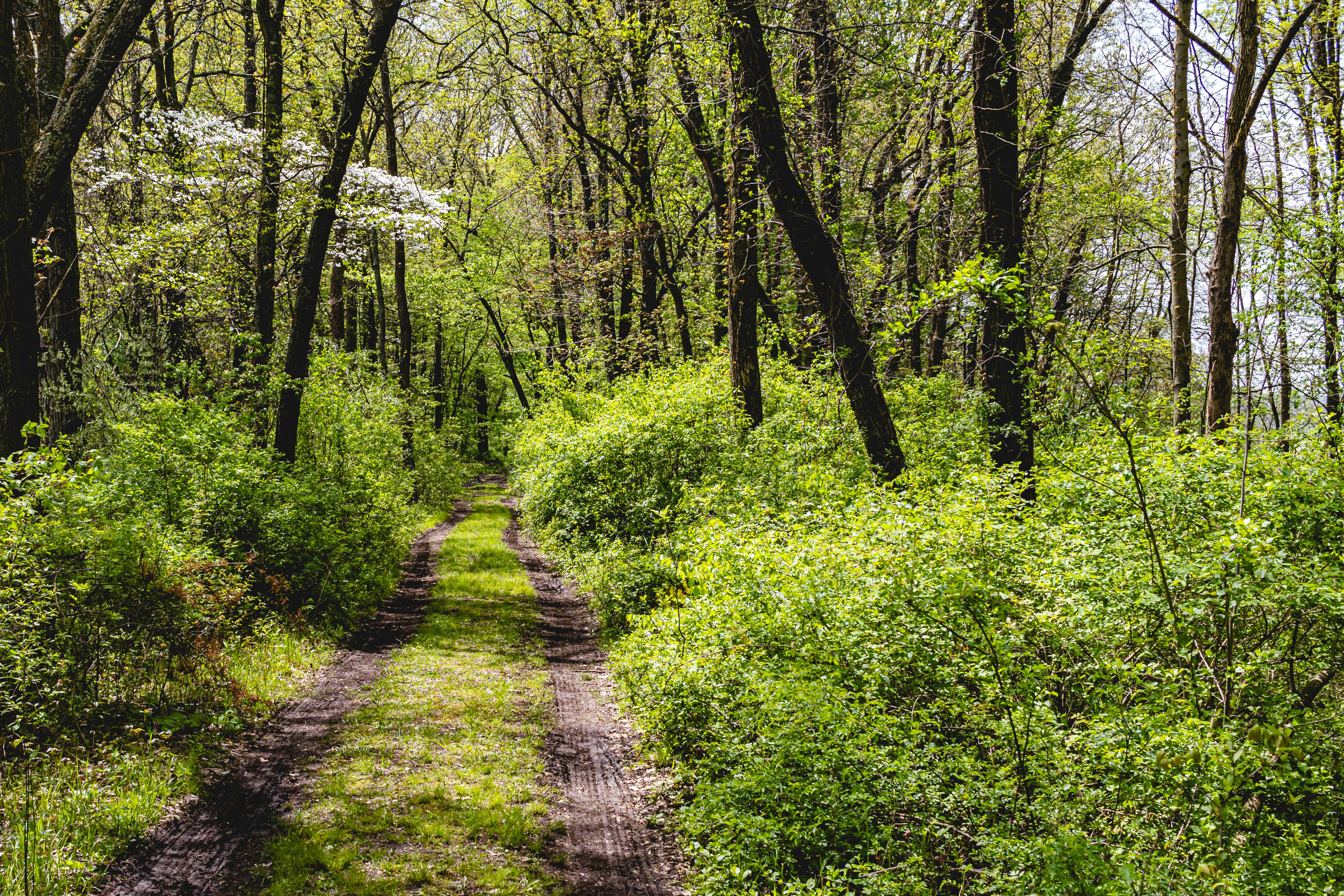 Photo by tristanruark