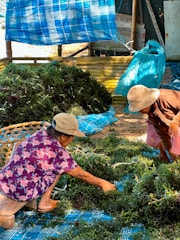 A couple of people that are in the grass