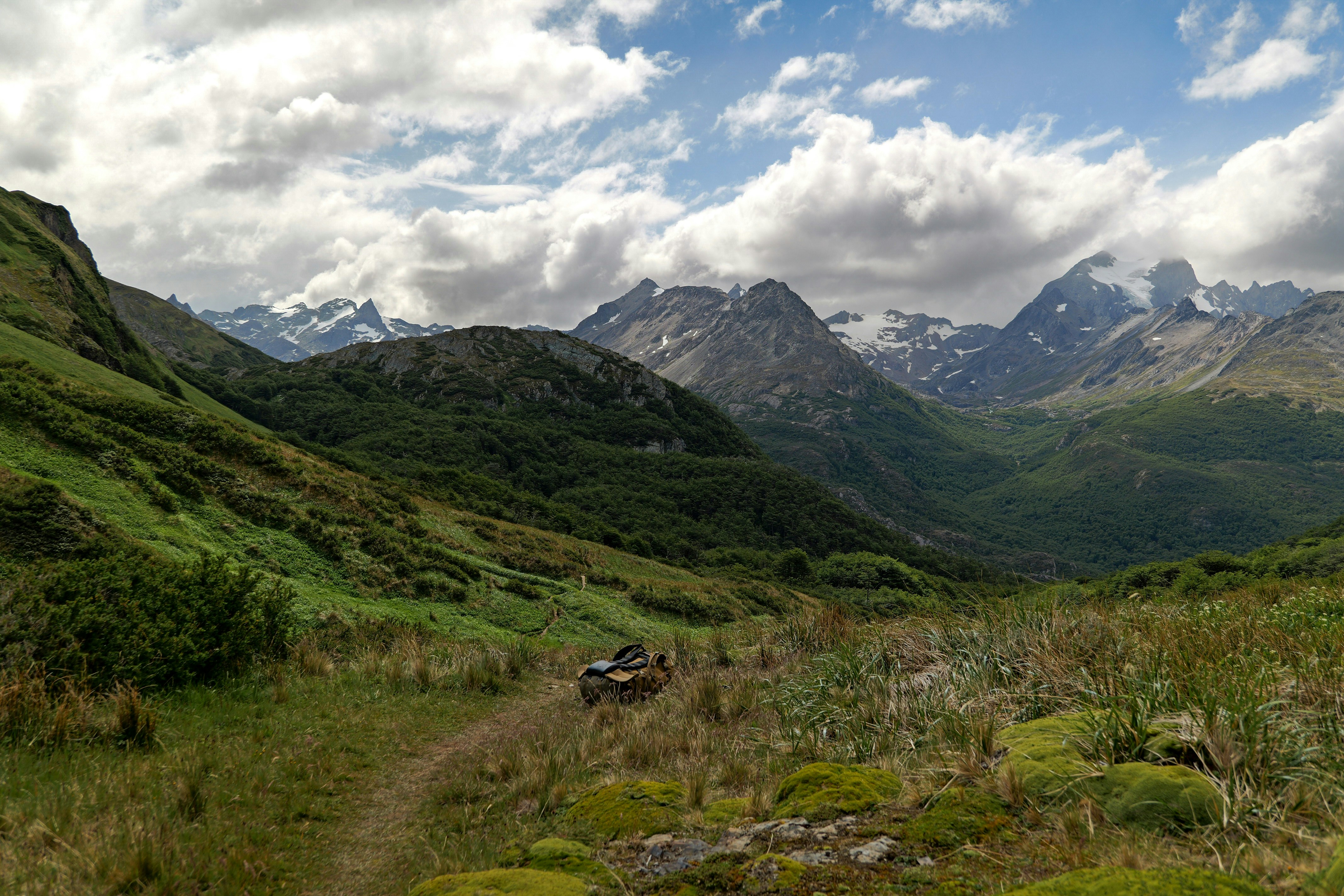 Photo by carter_obasohan