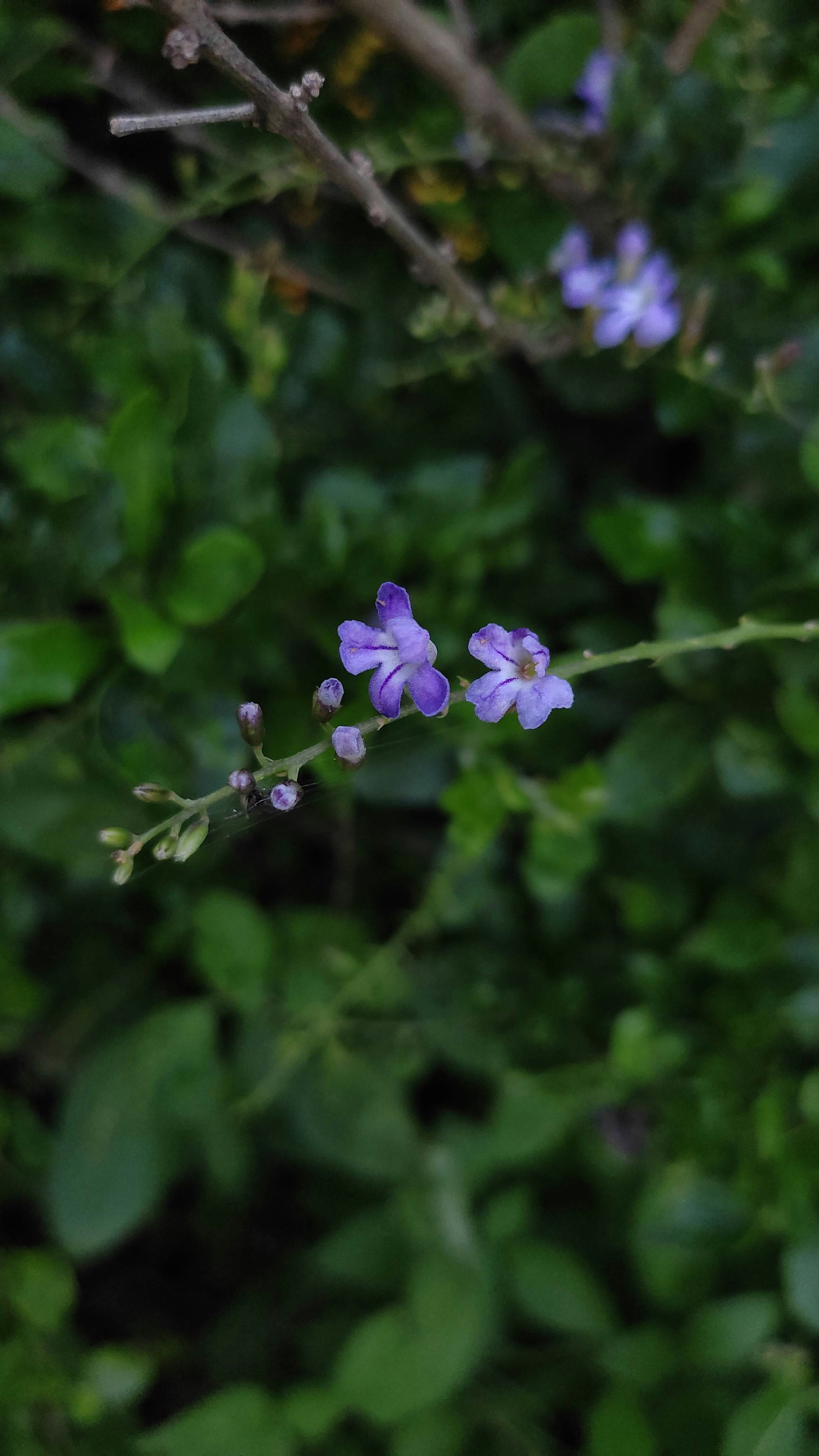 Photo by b_theweirdone