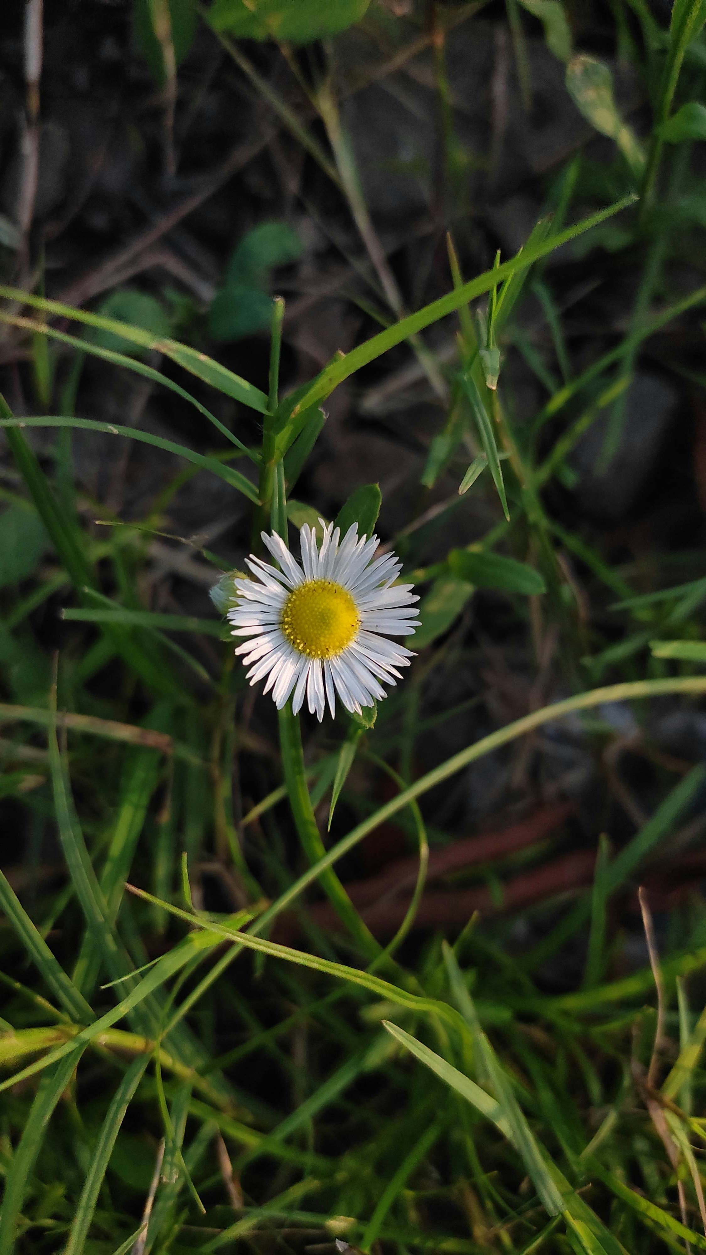 Photo by b_theweirdone