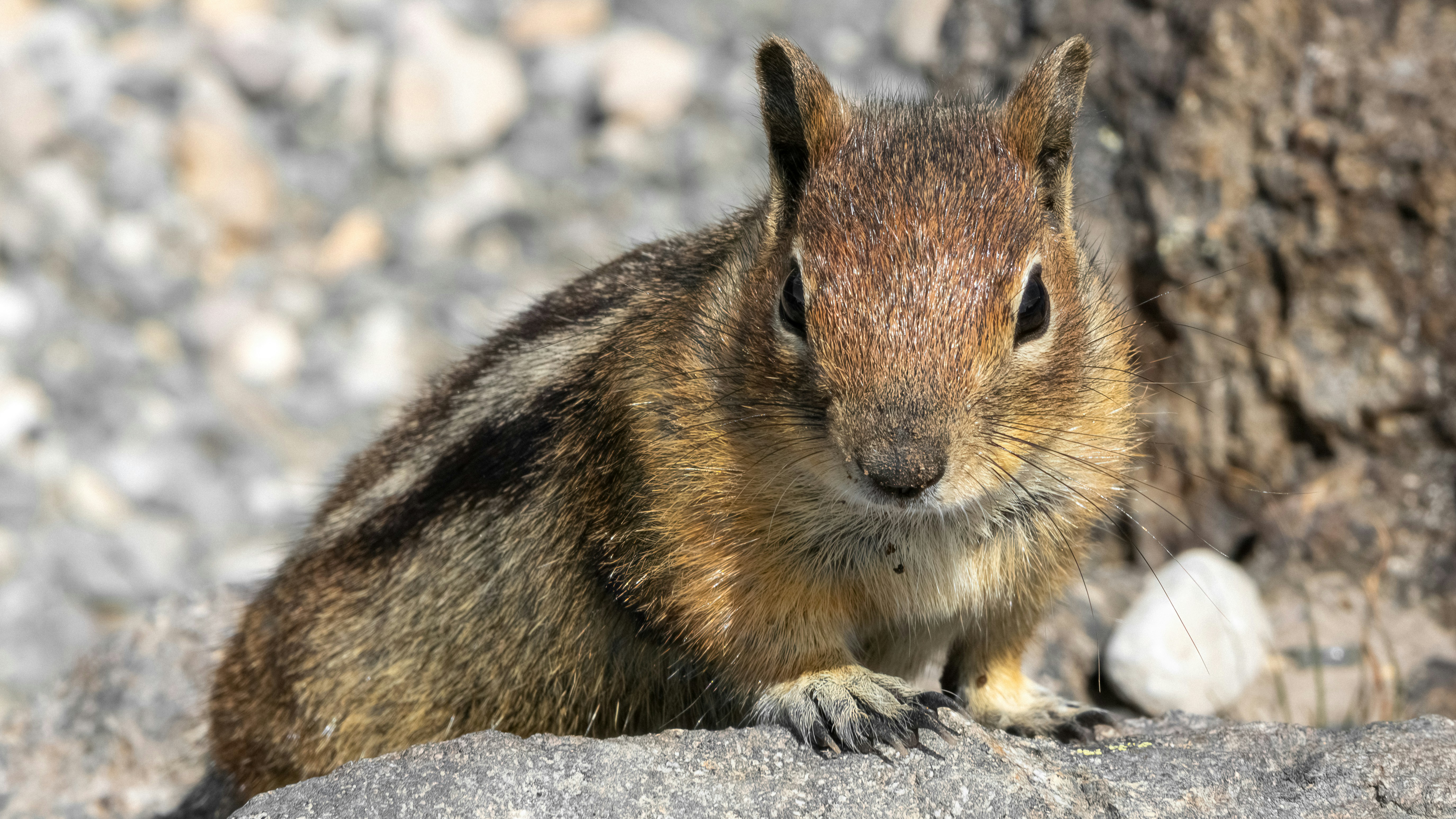 Photo by peterbbryan