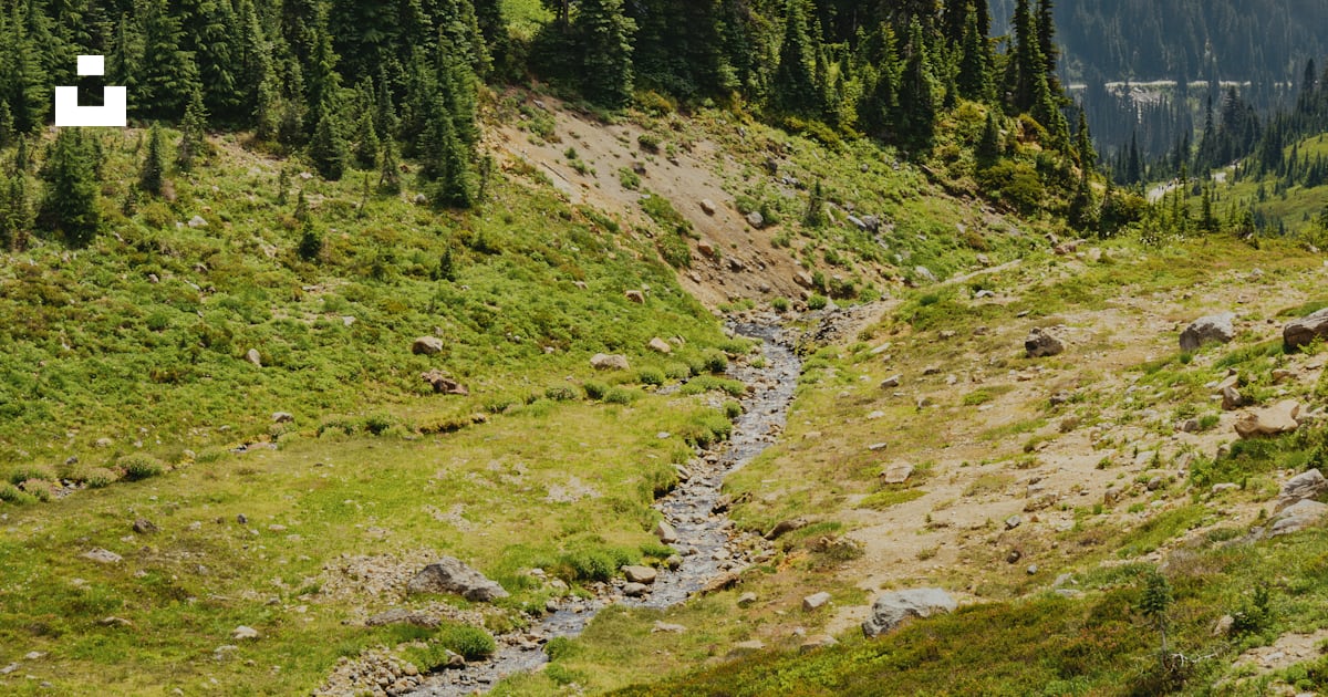 A mountain with a stream running through it photo β Free Mt rainier ...