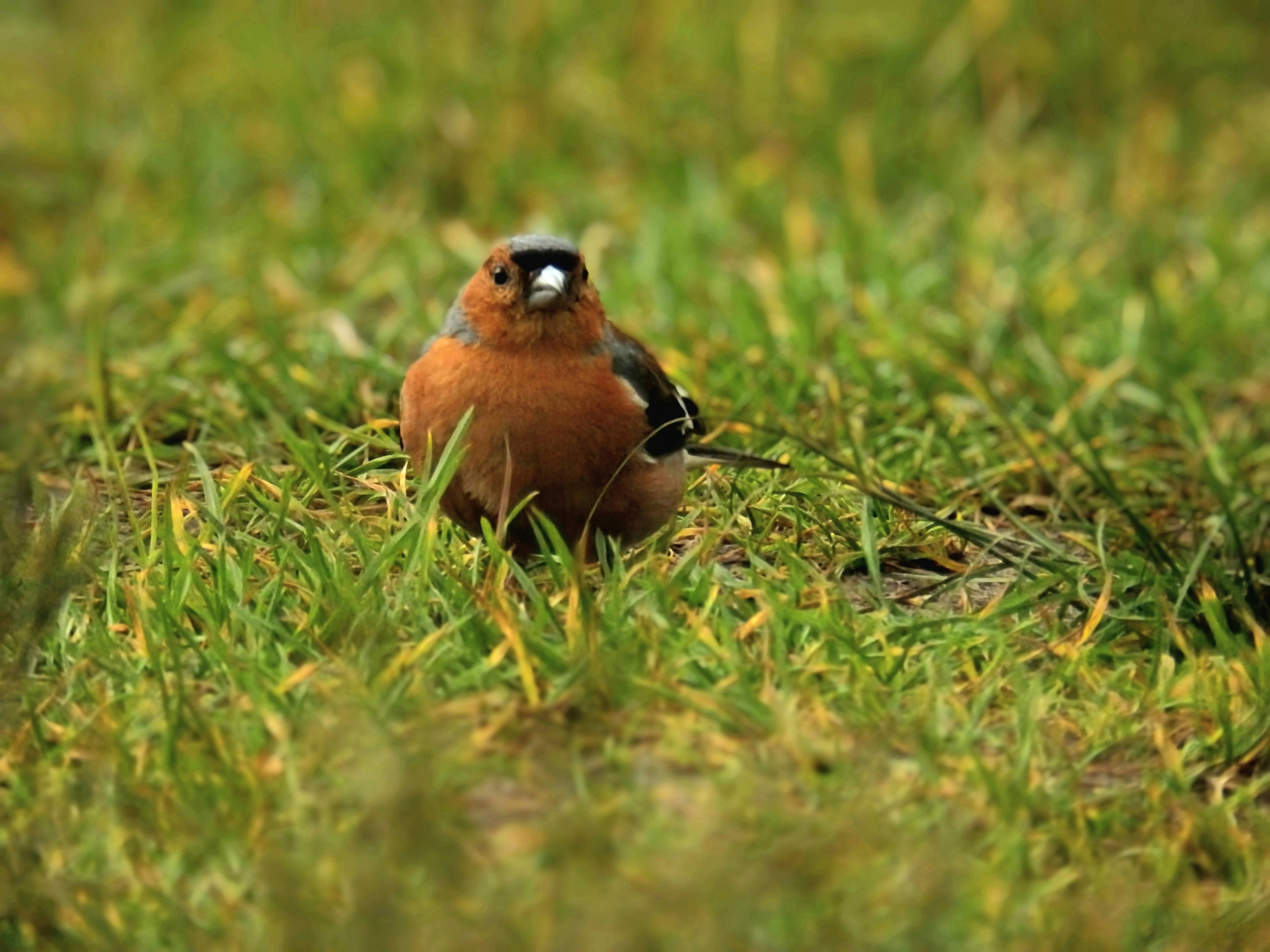 Photo by arthuramson