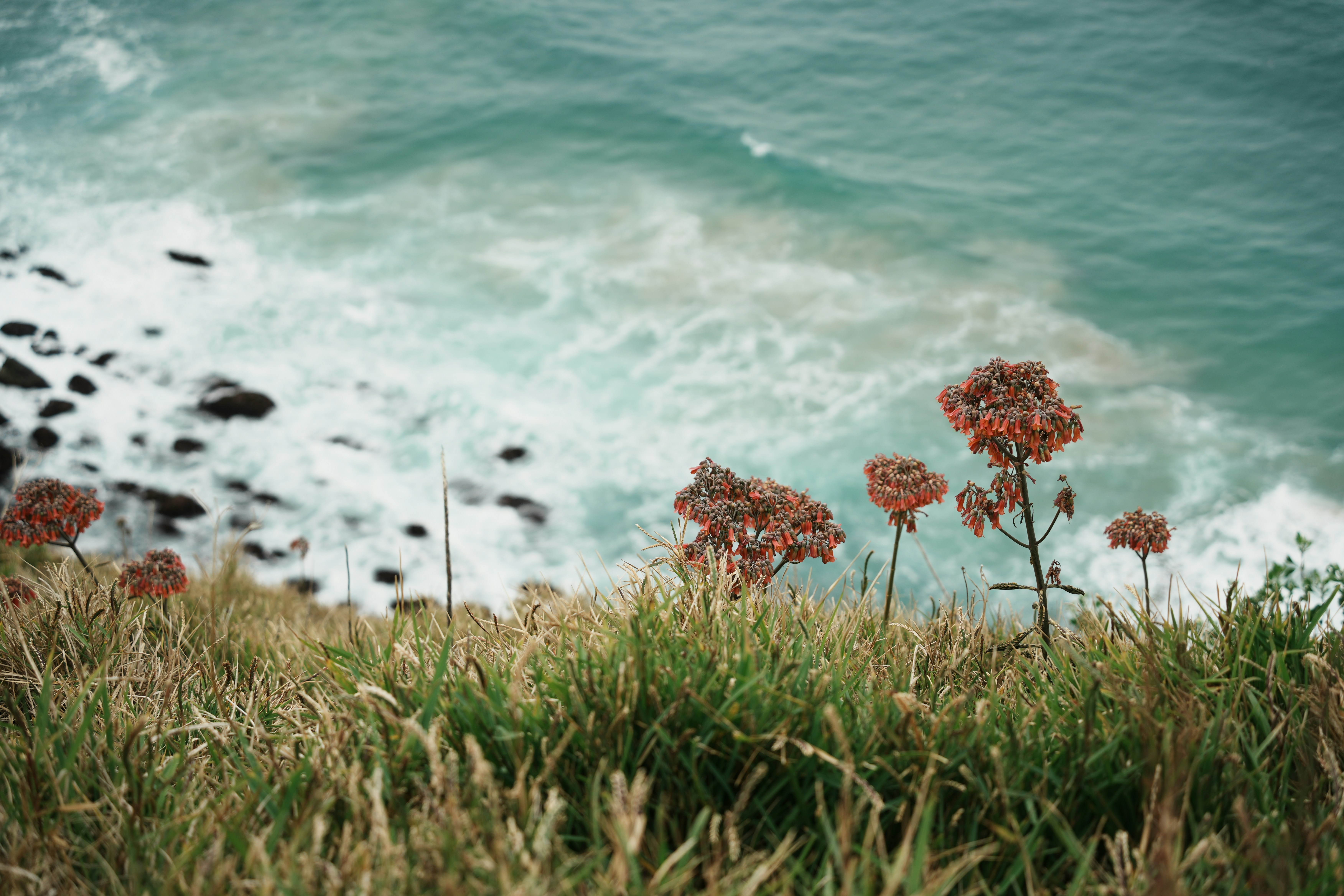 Photo by orson_krennic