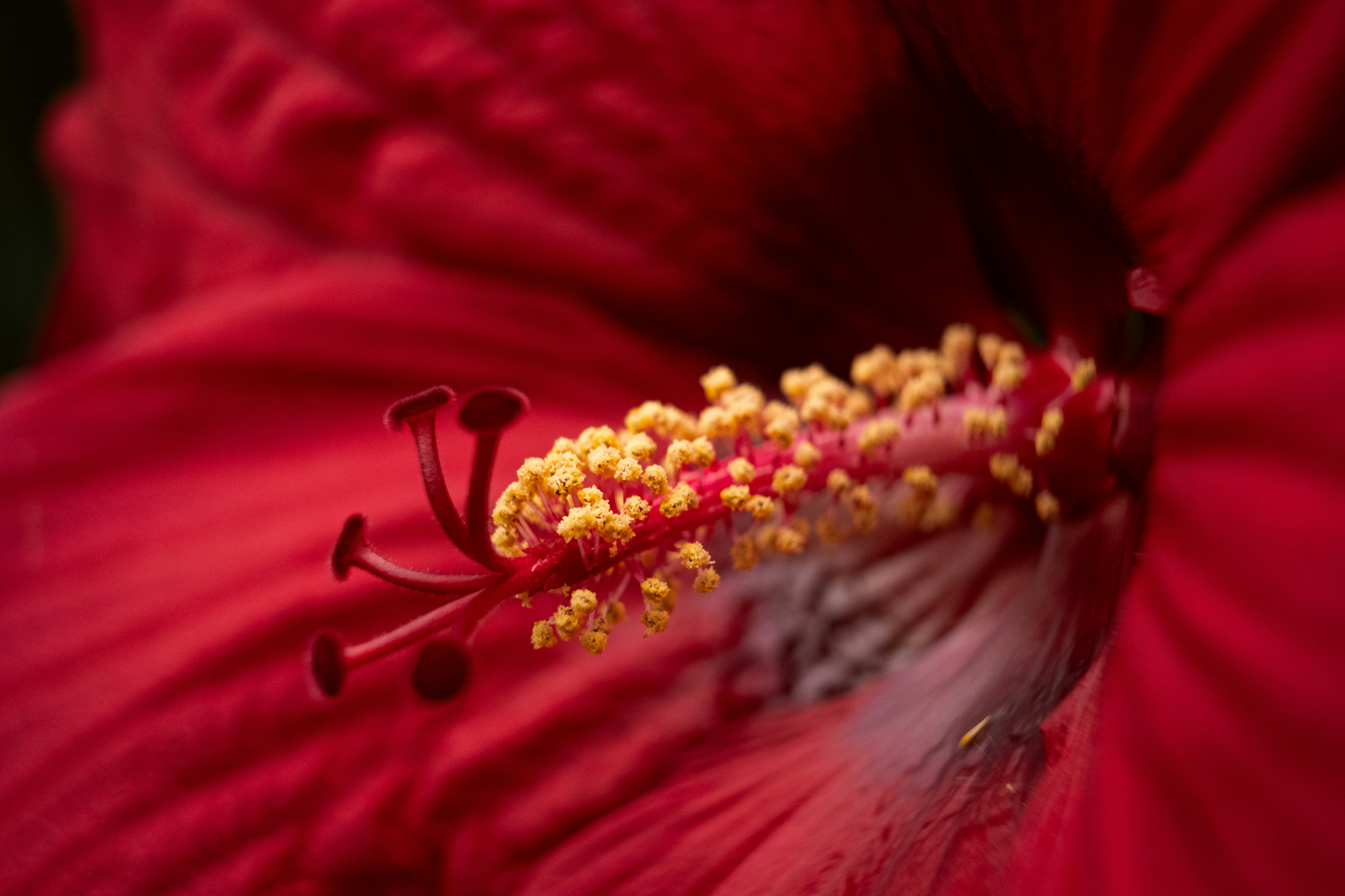 Photo by francesco_ungaro