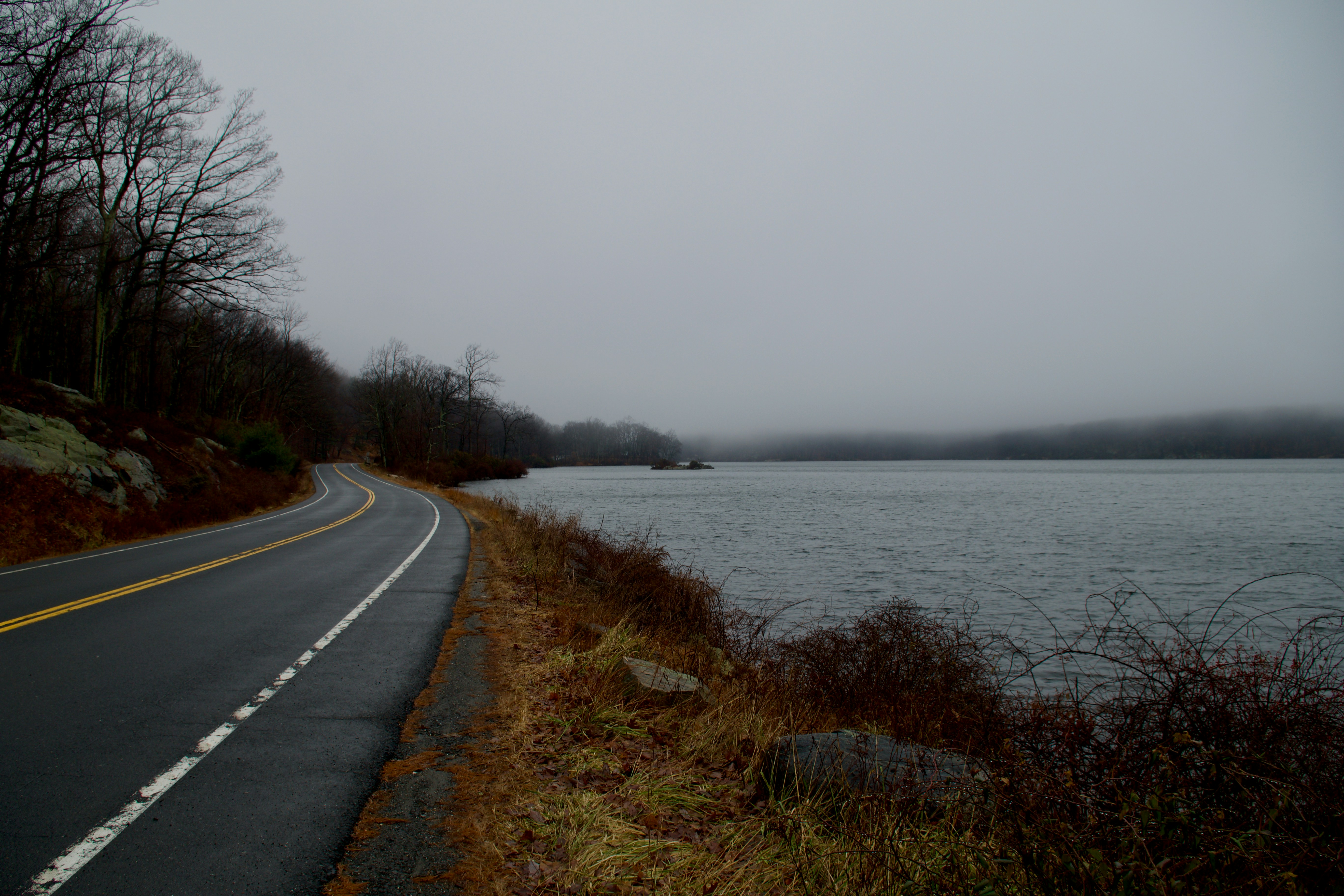 A road next to a body of water on a foggy day