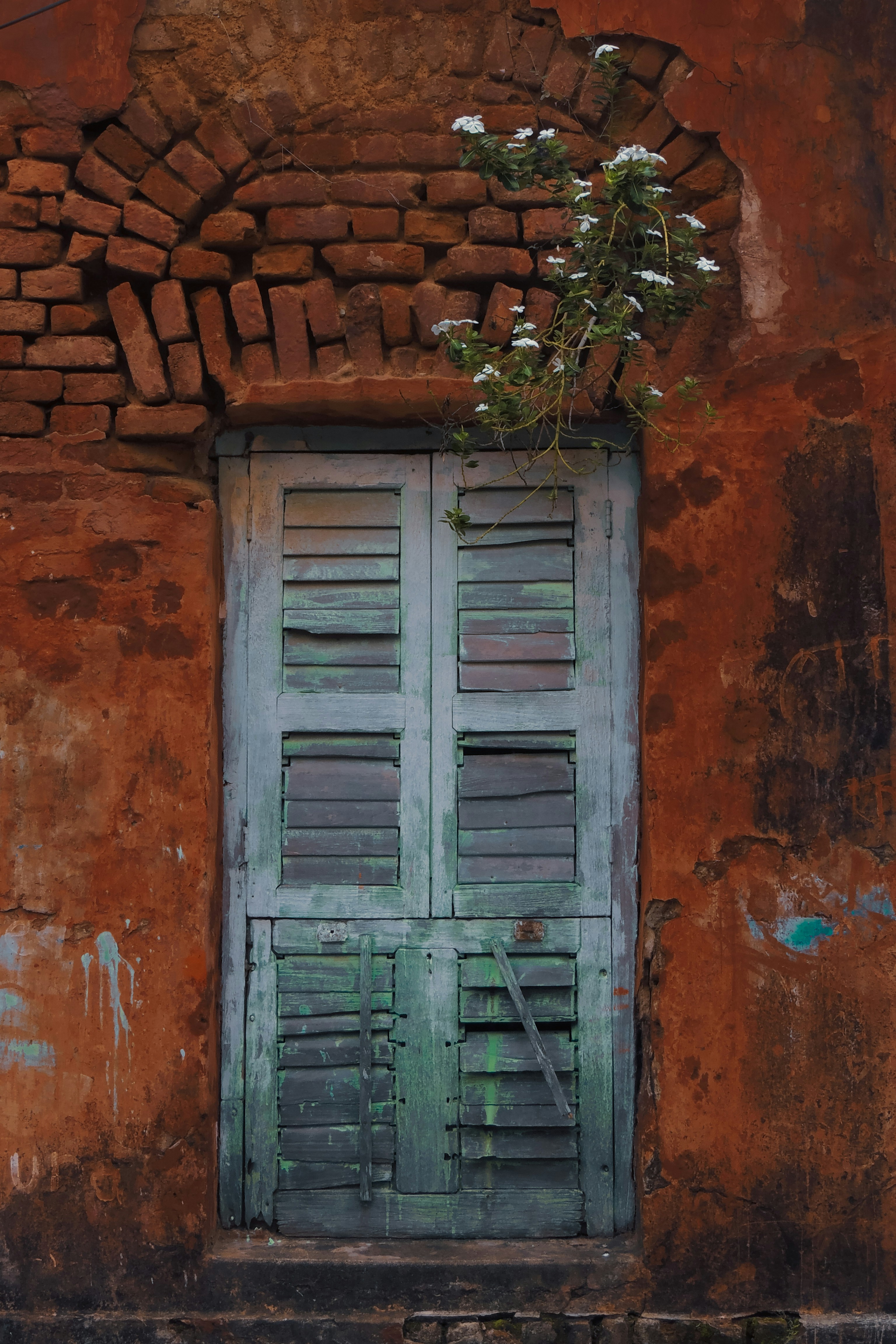 Photo by monoswita29