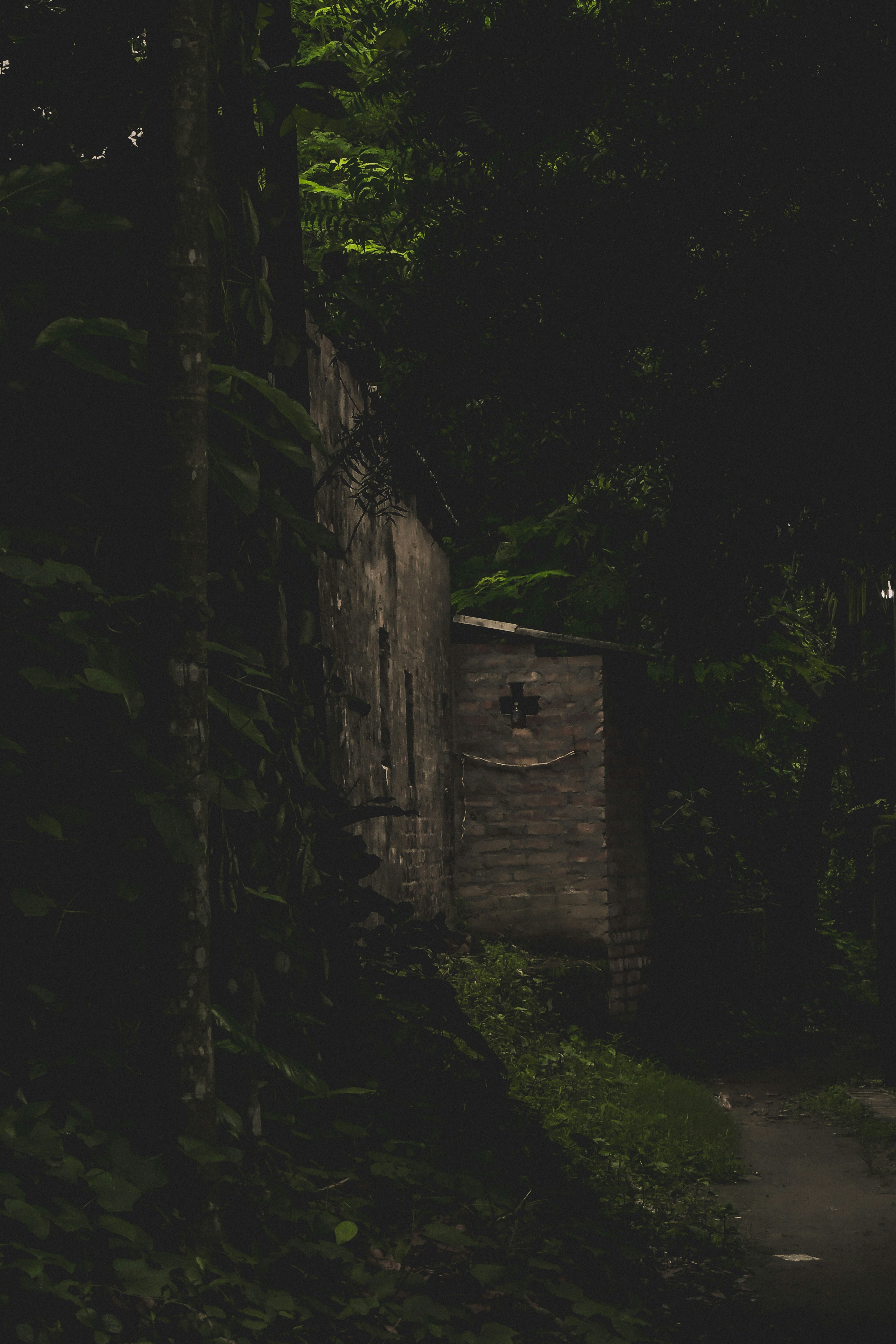 Photo by monoswita29