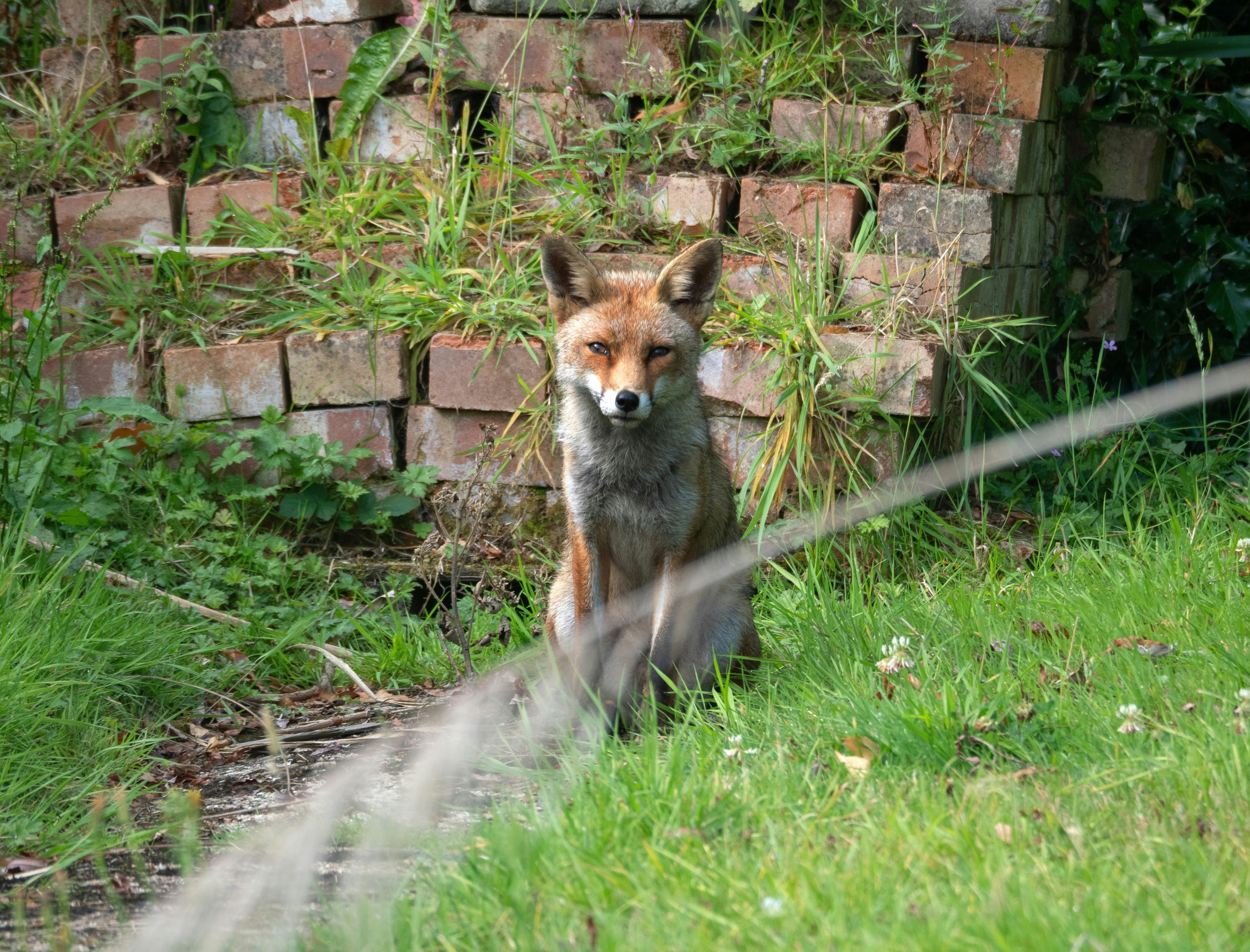 Photo by brett_jordan