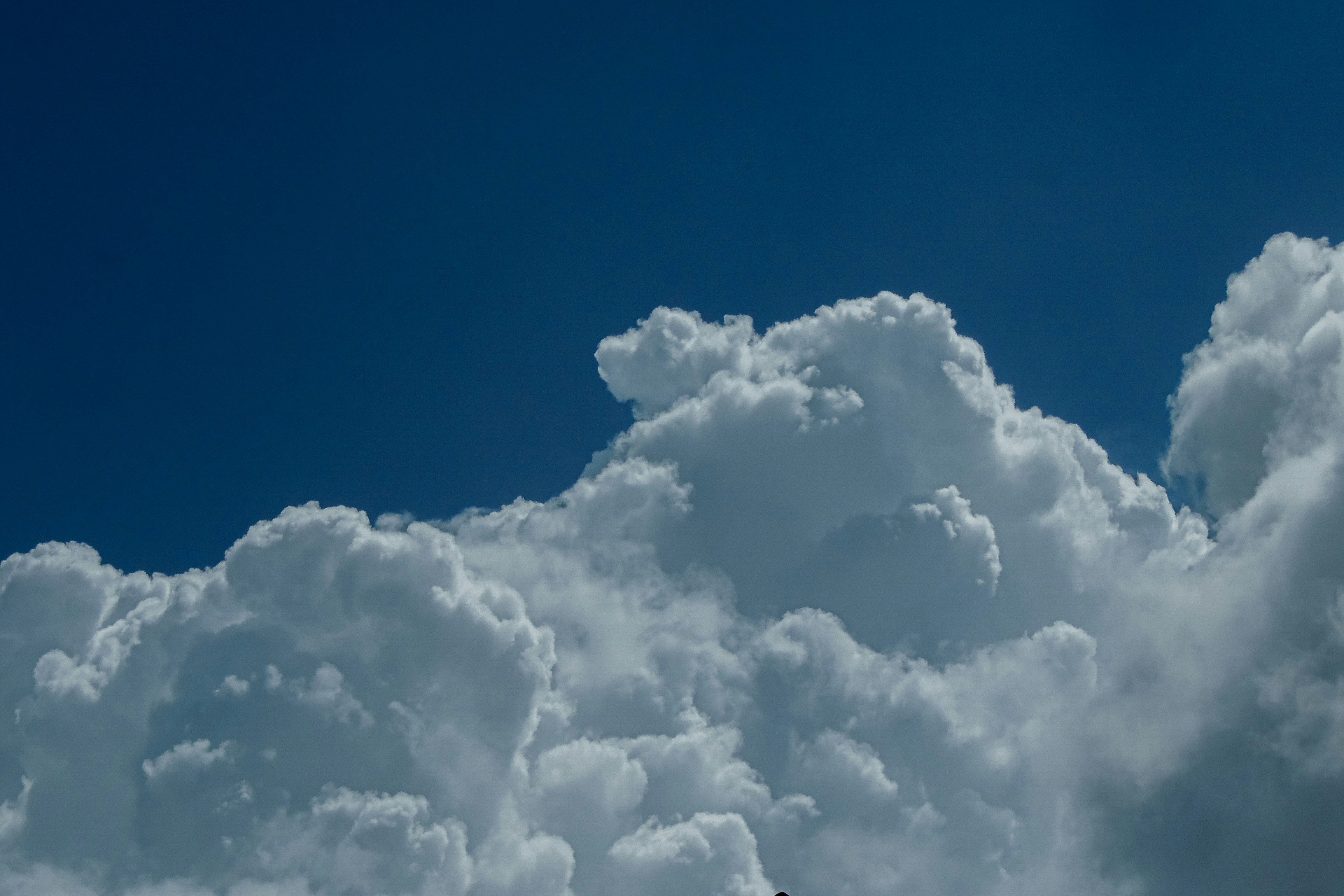 Photo by neelmoon1314