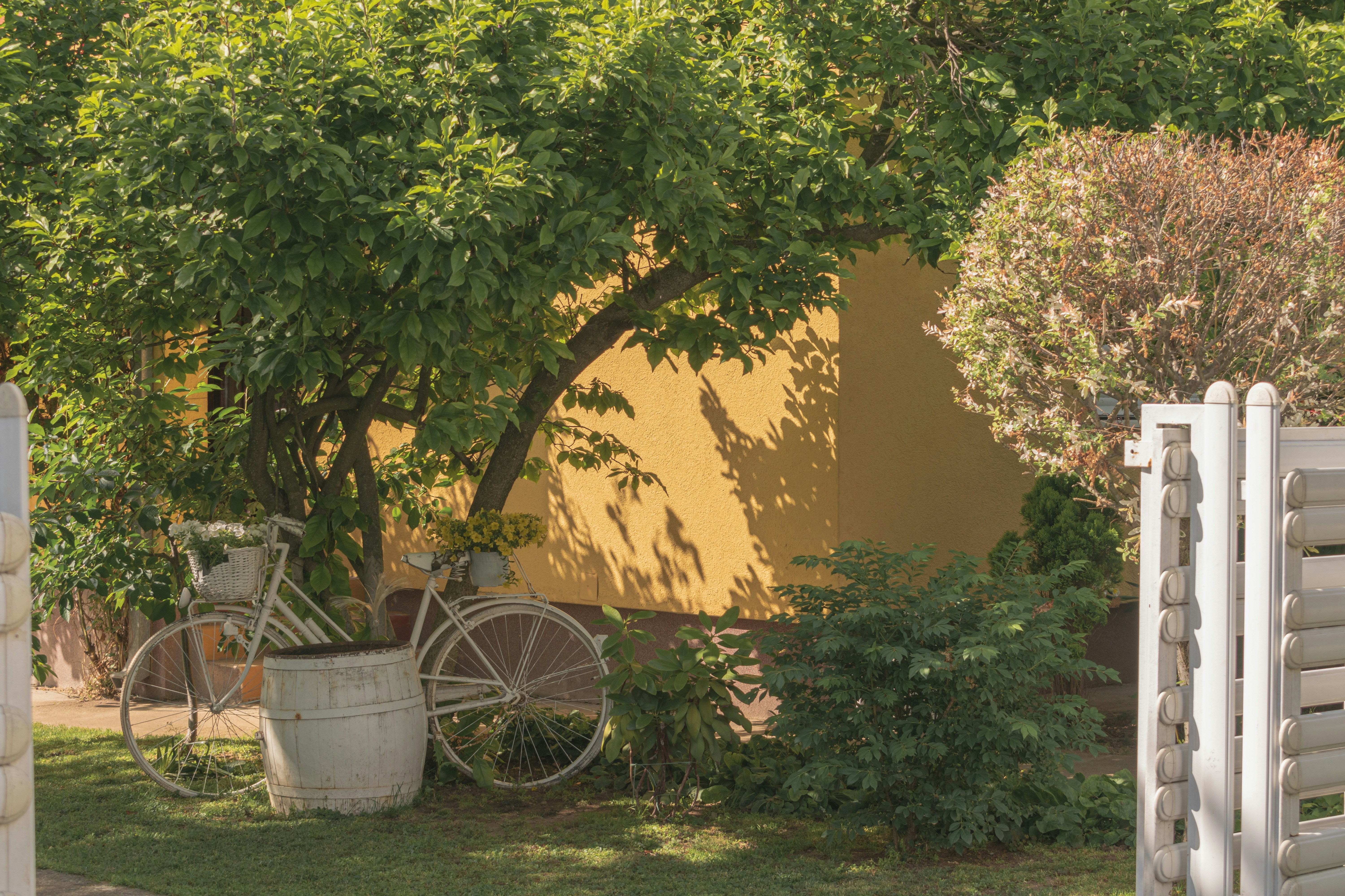 A garden with a fence and a bike parked in front of it