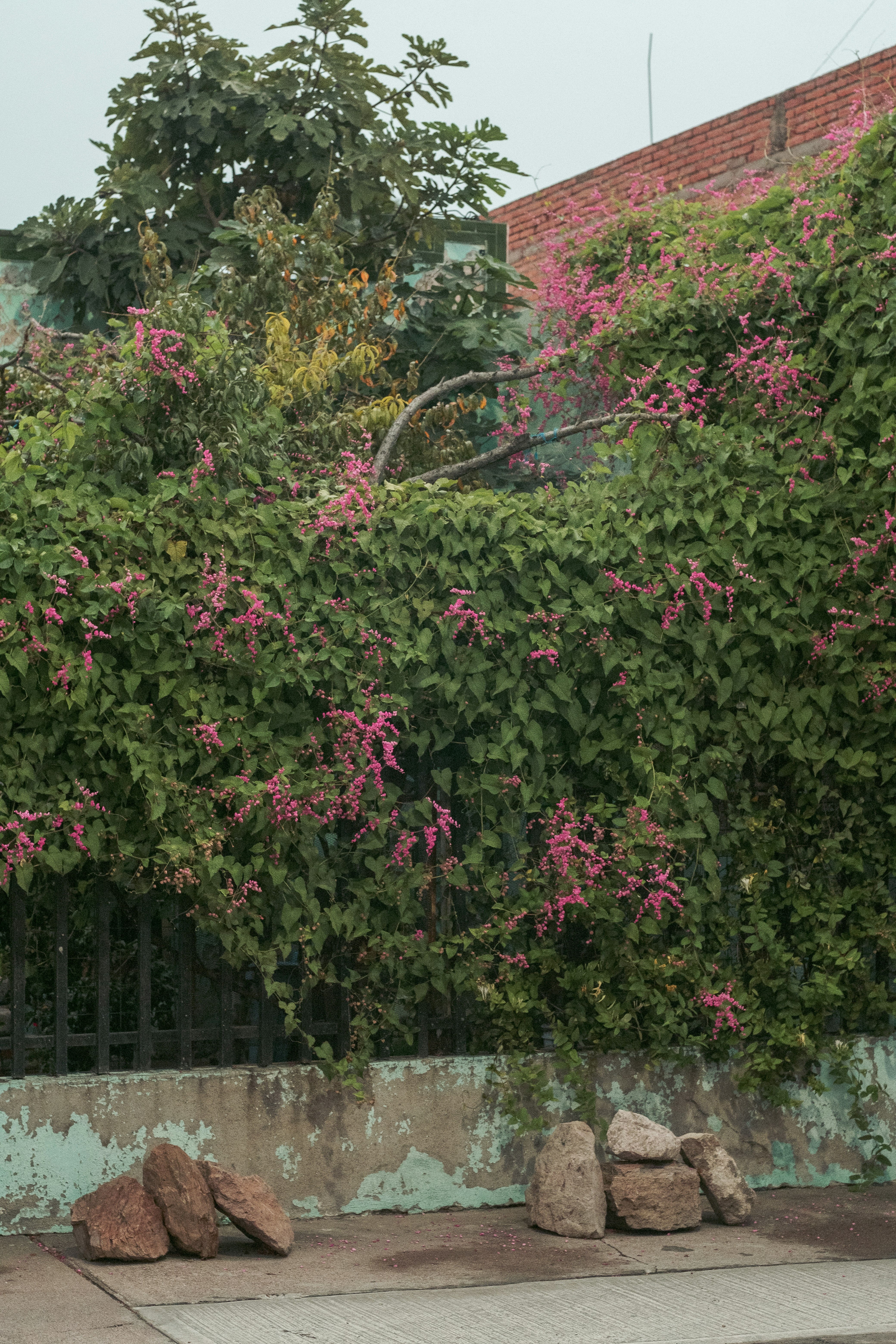 Photo by alex_quezada