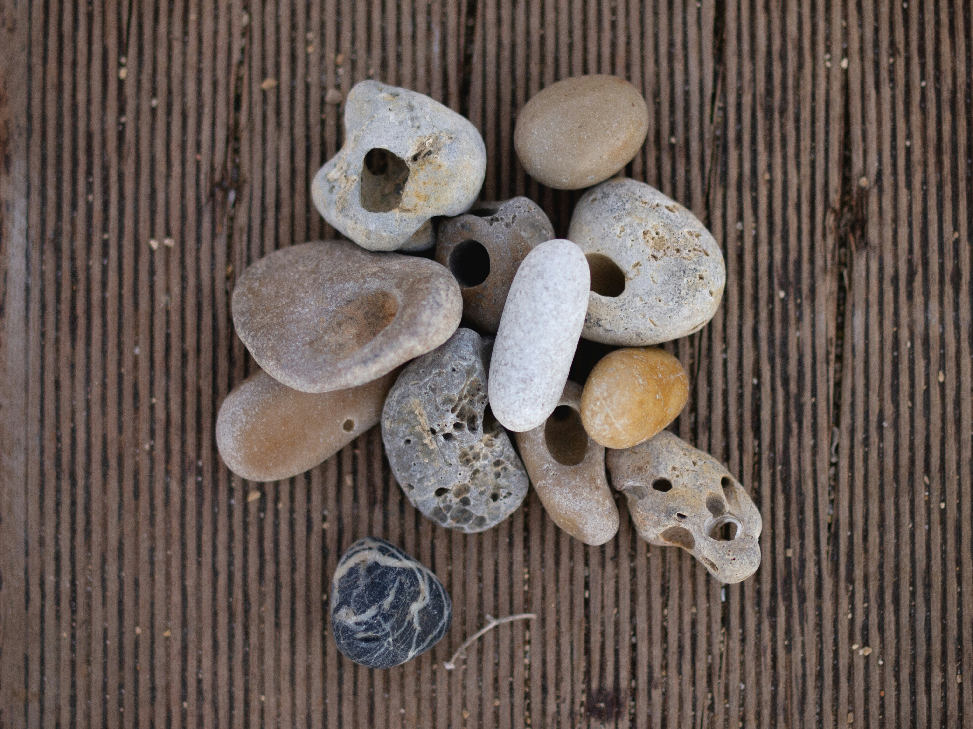 Photo by jonasgarcia