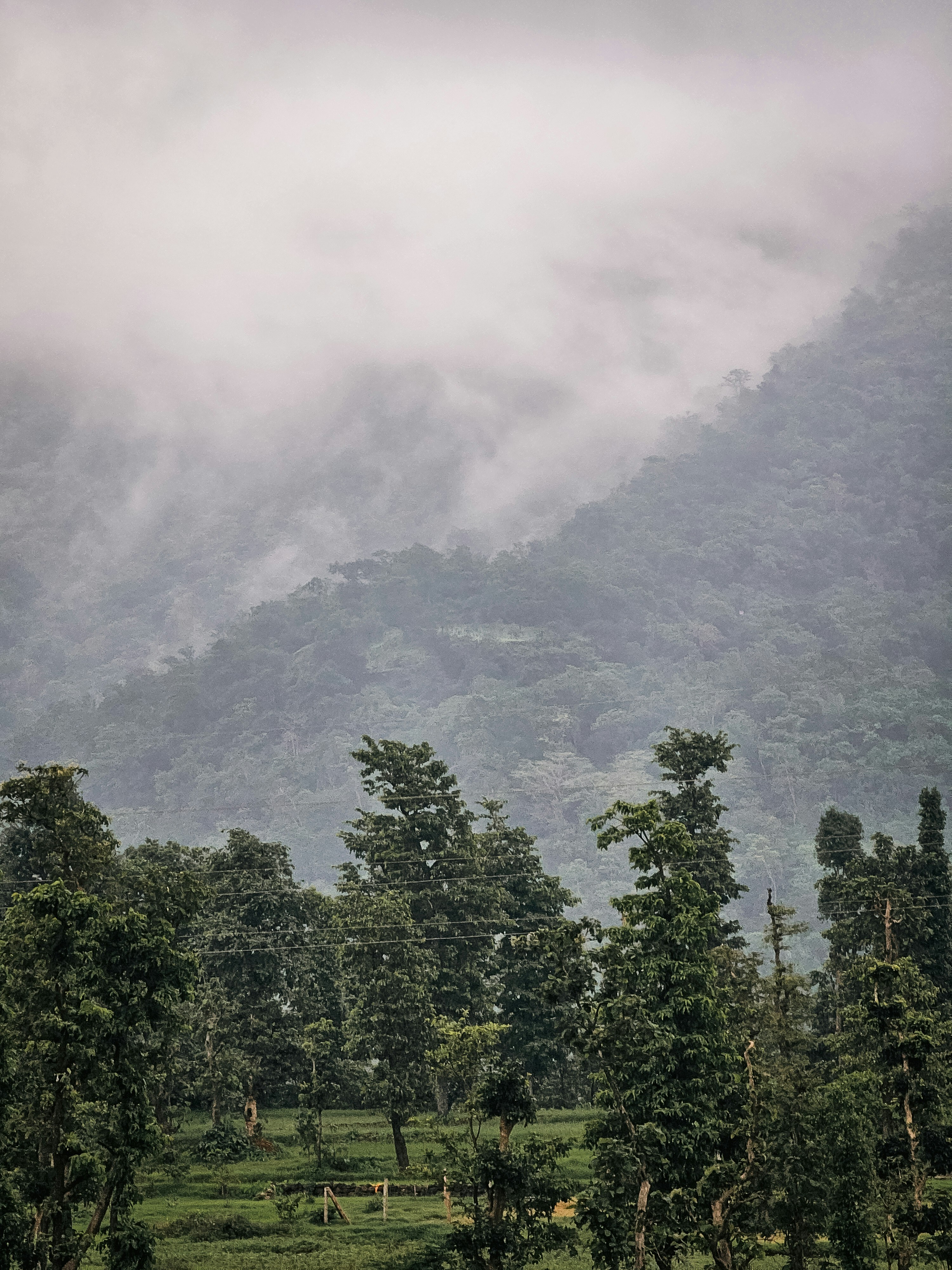 Photo by mayurdhvajsinh