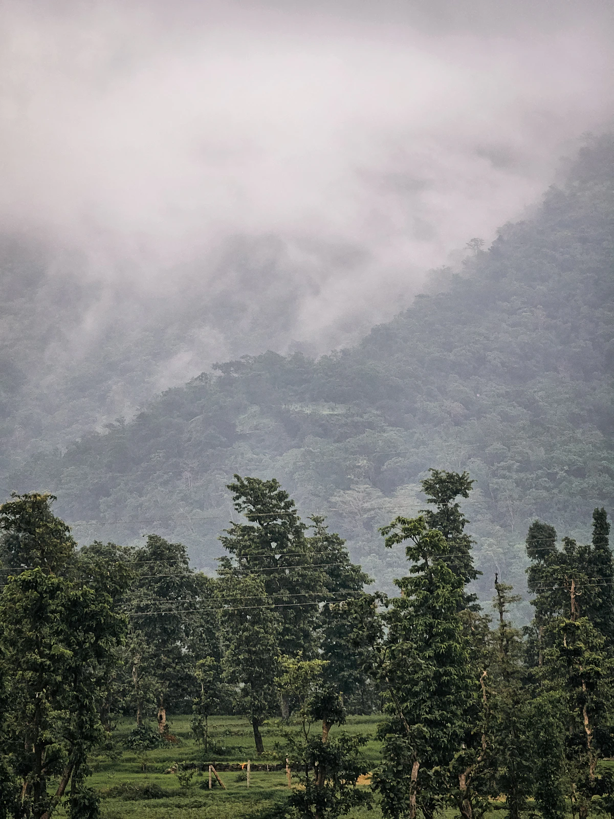 Thick green forest and clouds around Saputara