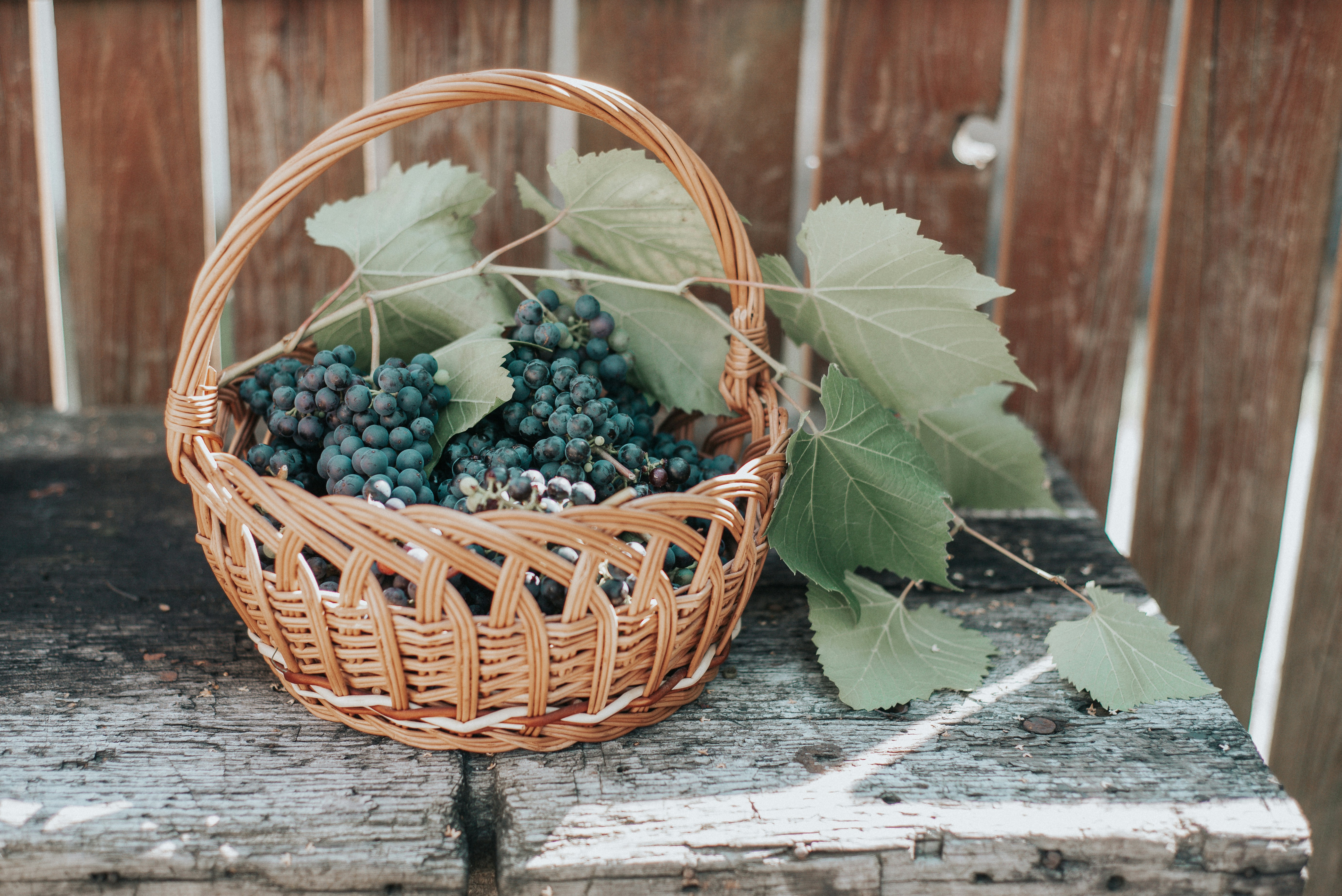 A basket of grapes sitting on top of a wooden table