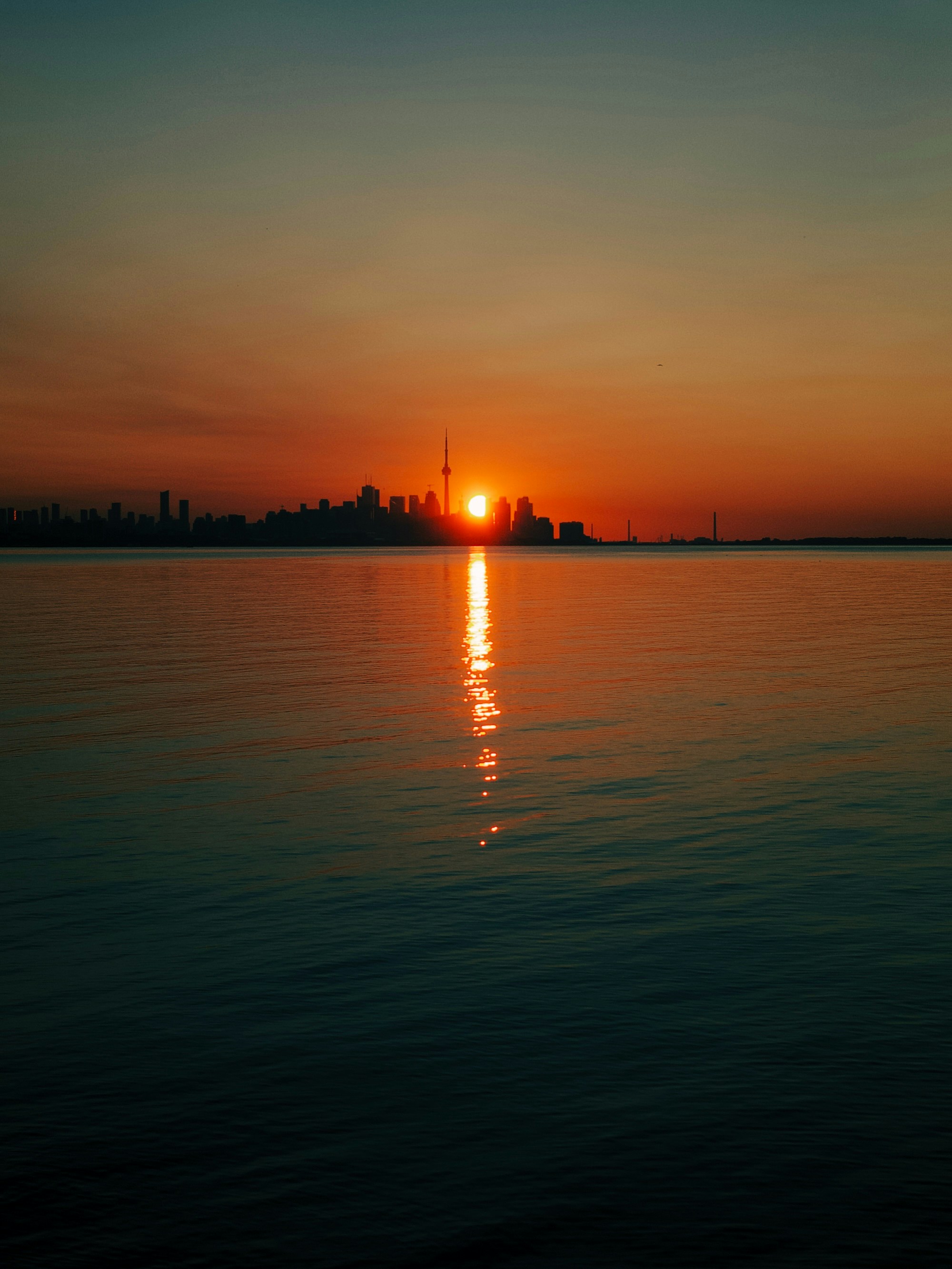 Photo by tylerrooney