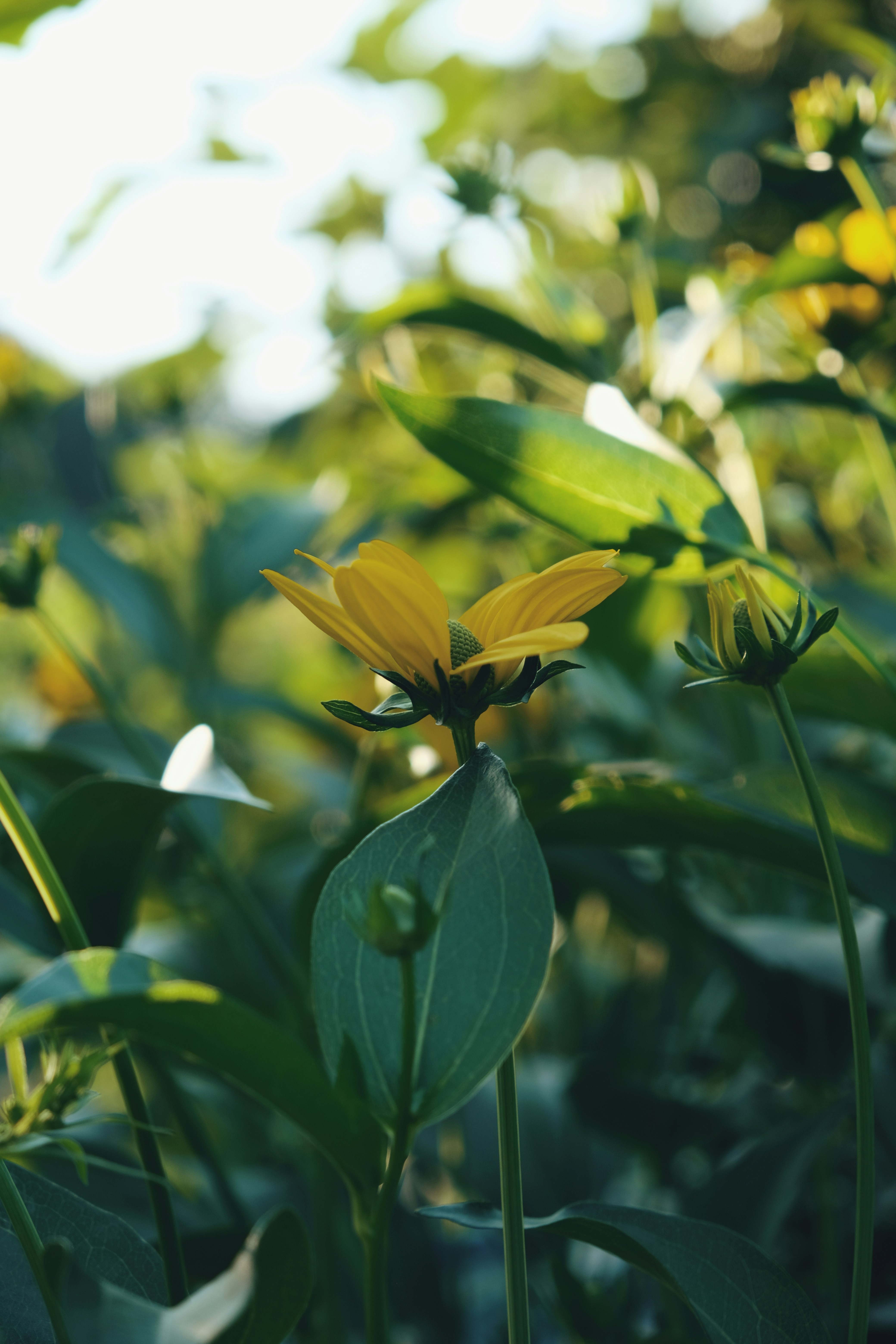 Photo by mehmetdemiral