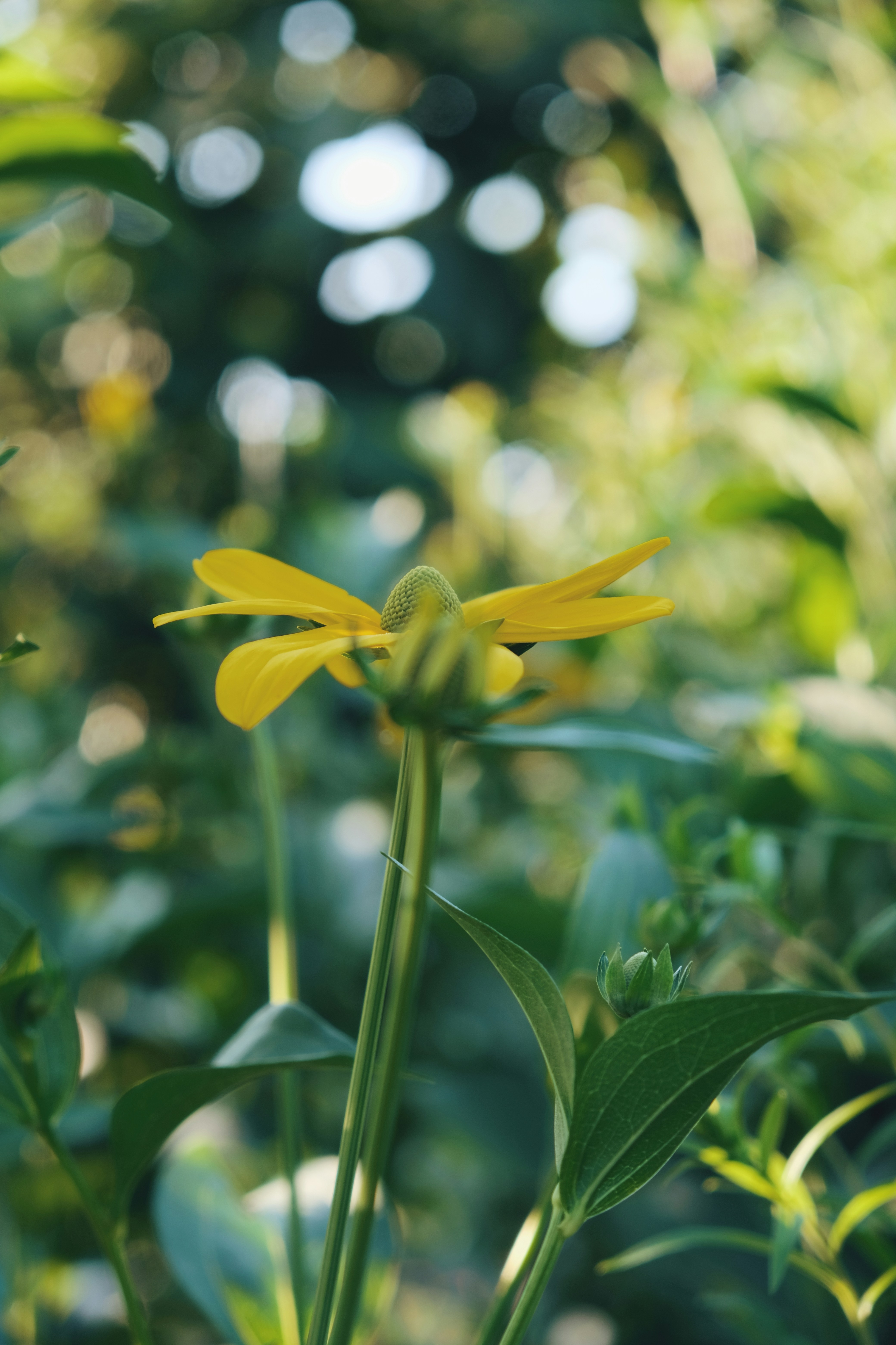 Photo by mehmetdemiral