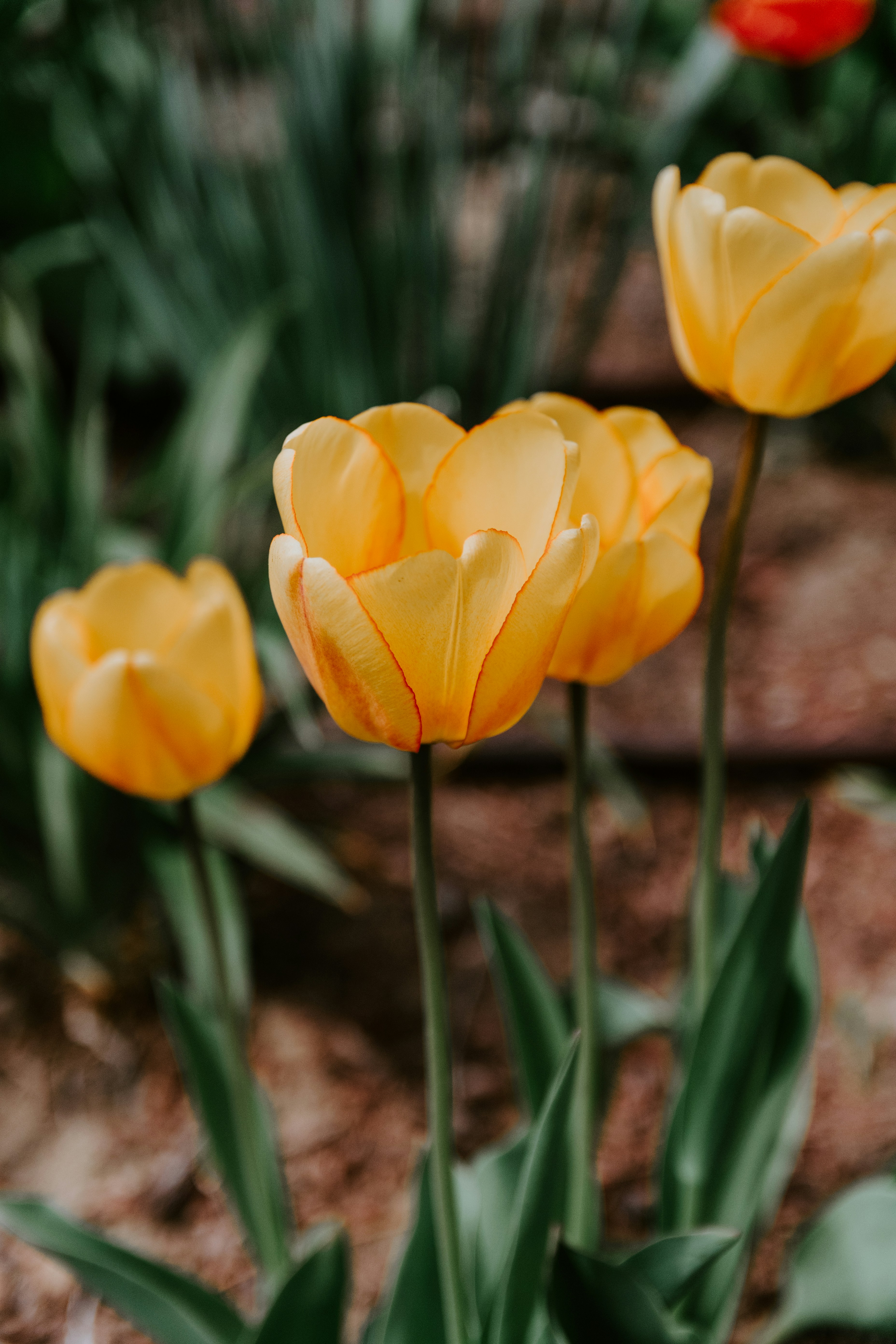 Photo by kellysikkema