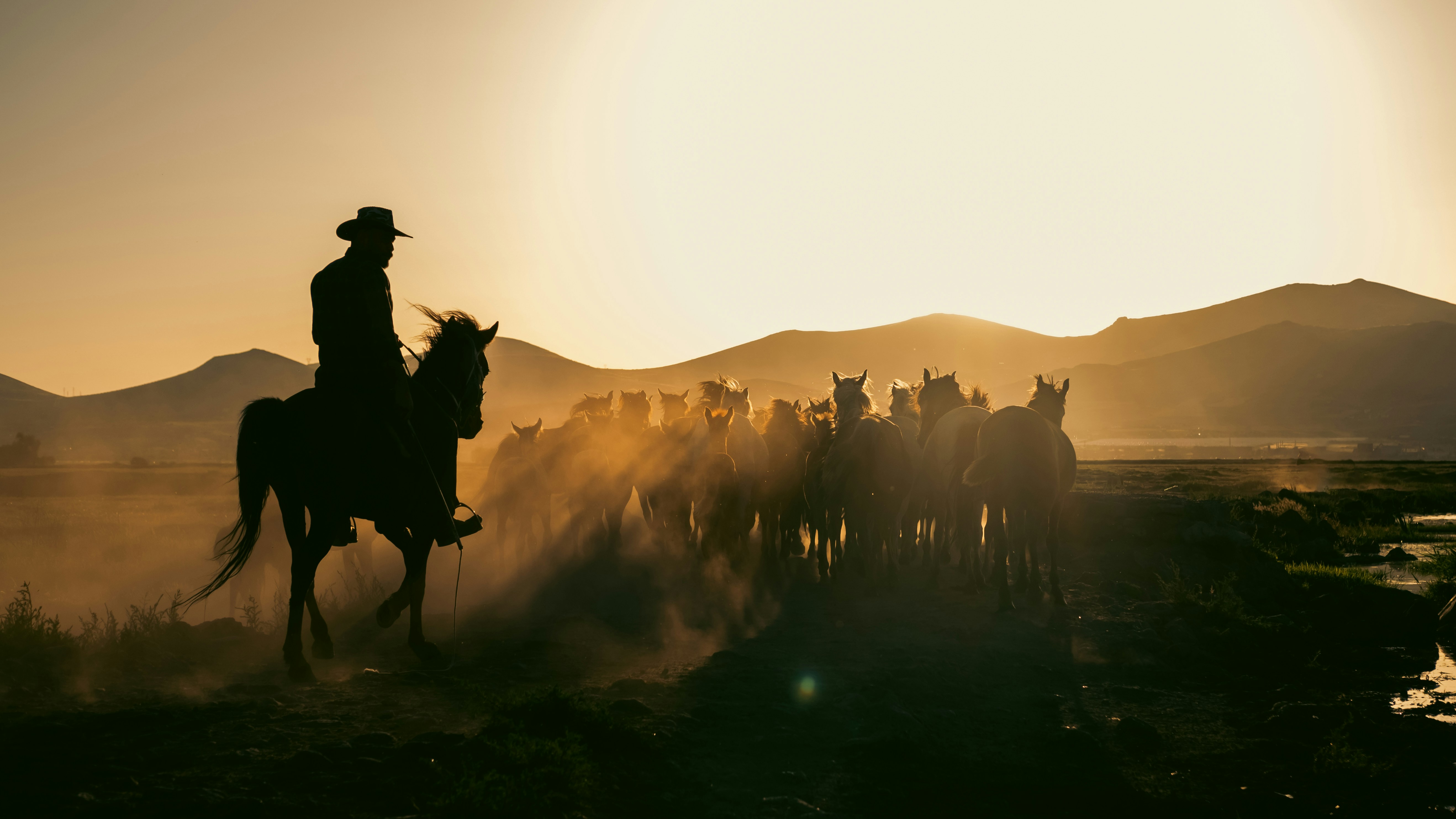 A group of people riding on the backs of horses