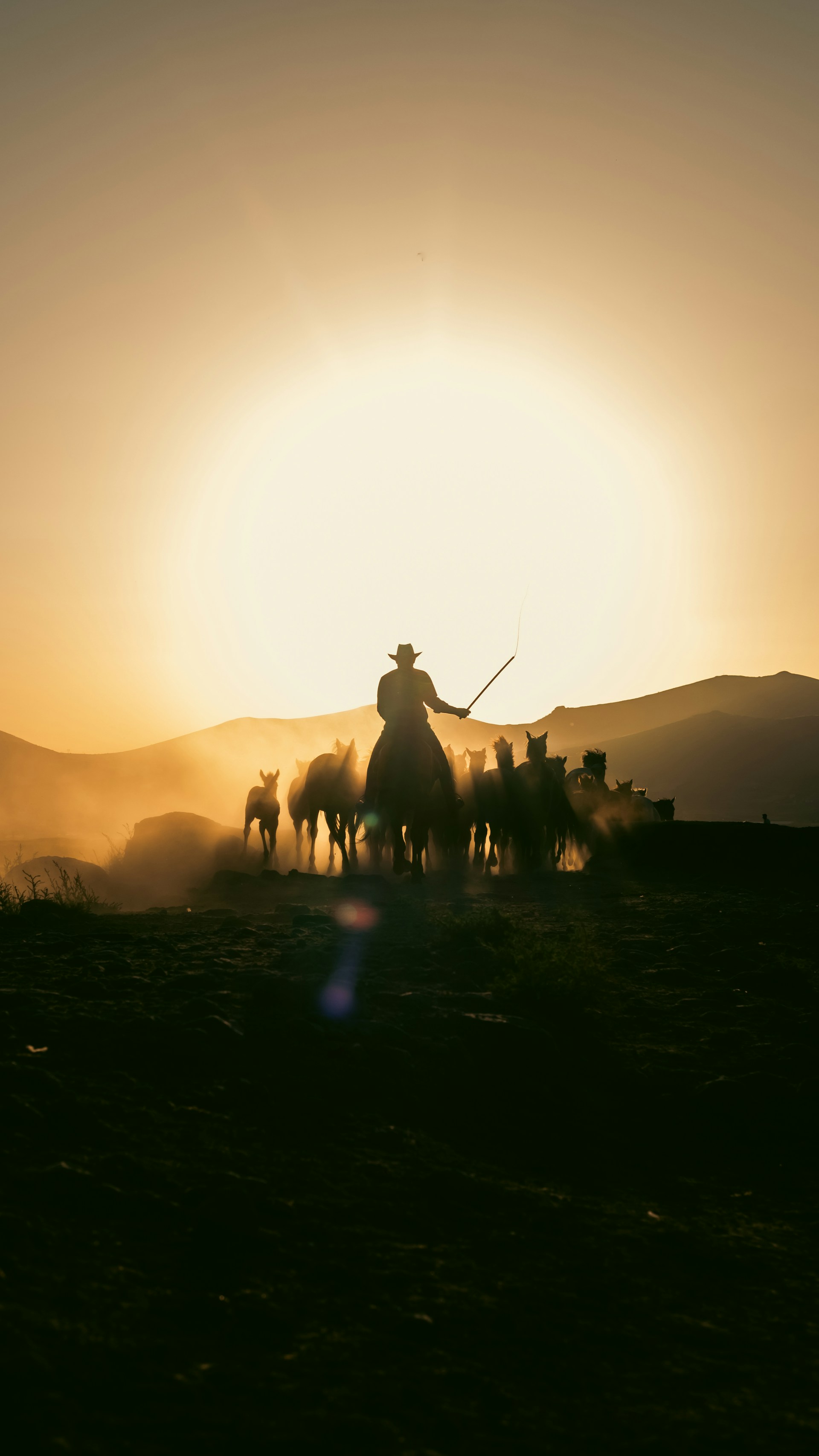 A man on a horse with a group of horses in the background